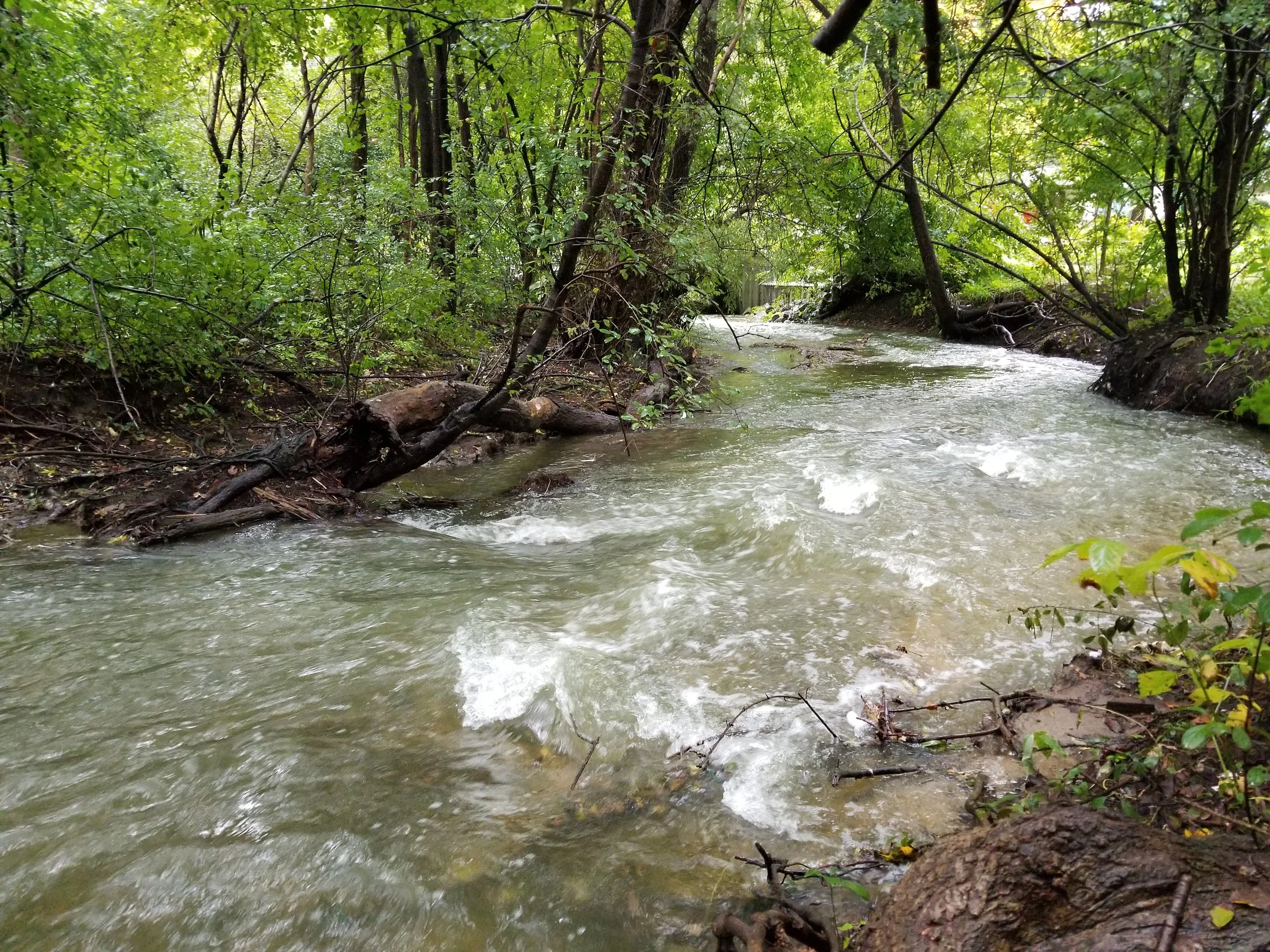 20181001_121624.jpg