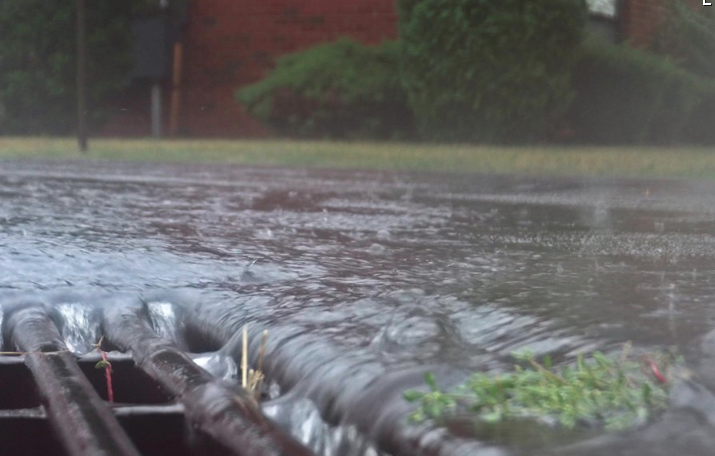 See our Adopt-A-Storm Drain article in Shepard Express!