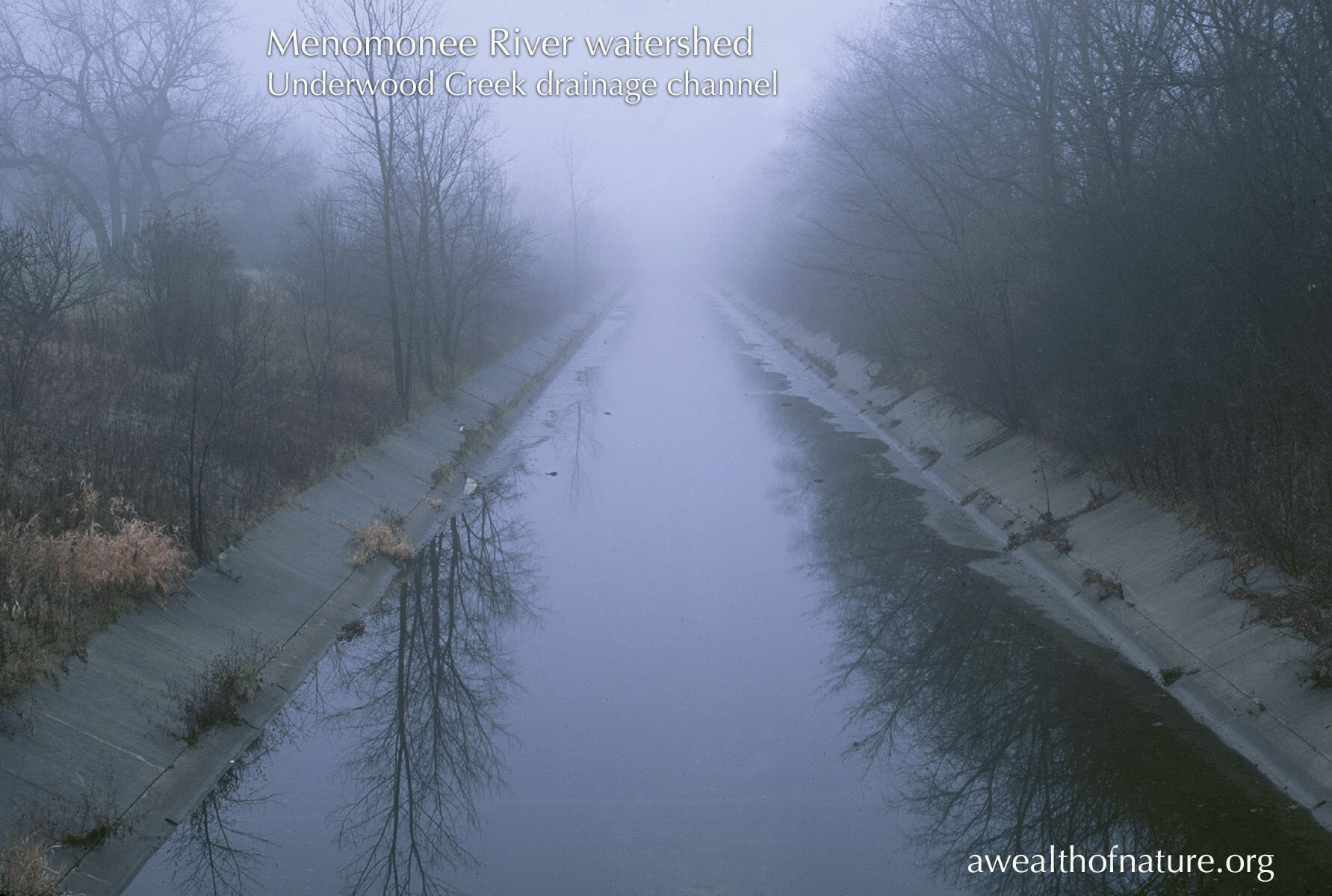 EDaniel_underwood channel in fog.jpg