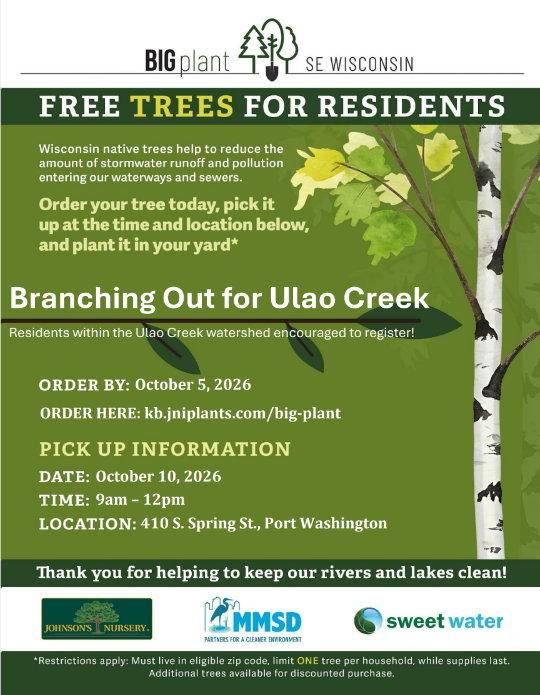 Branching Out for Ulao Creek