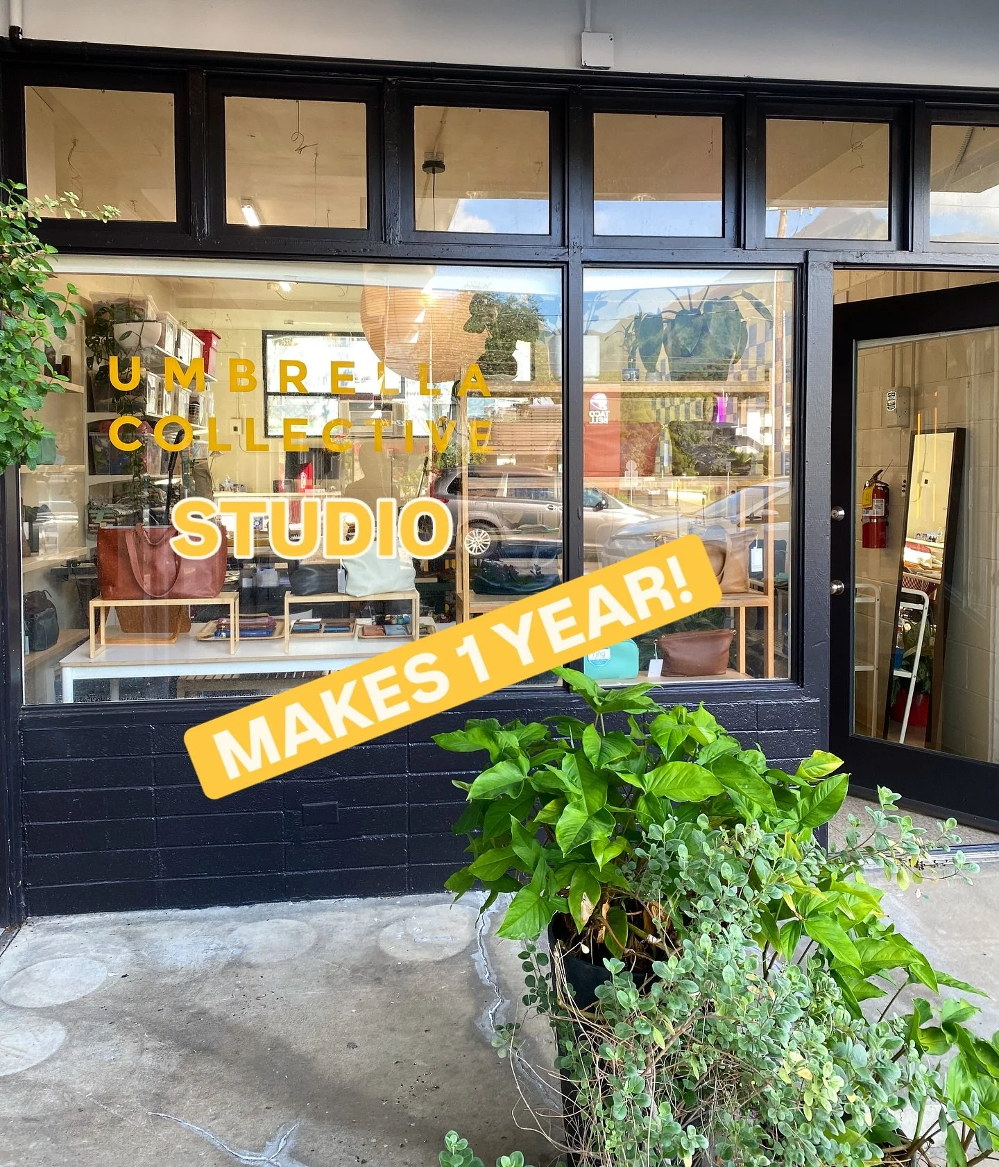 I can&rsquo;t believe it. It&rsquo;s been a year since UC moved into this little studio in Kaneohe 🤗 Well..my anniversary was actually in October, and I planned to do something extravagant, but sh!t happens, and here we are in November trying to mak