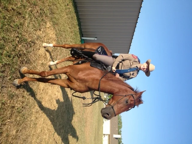 Mounted Patrol Riding Ranger.JPG