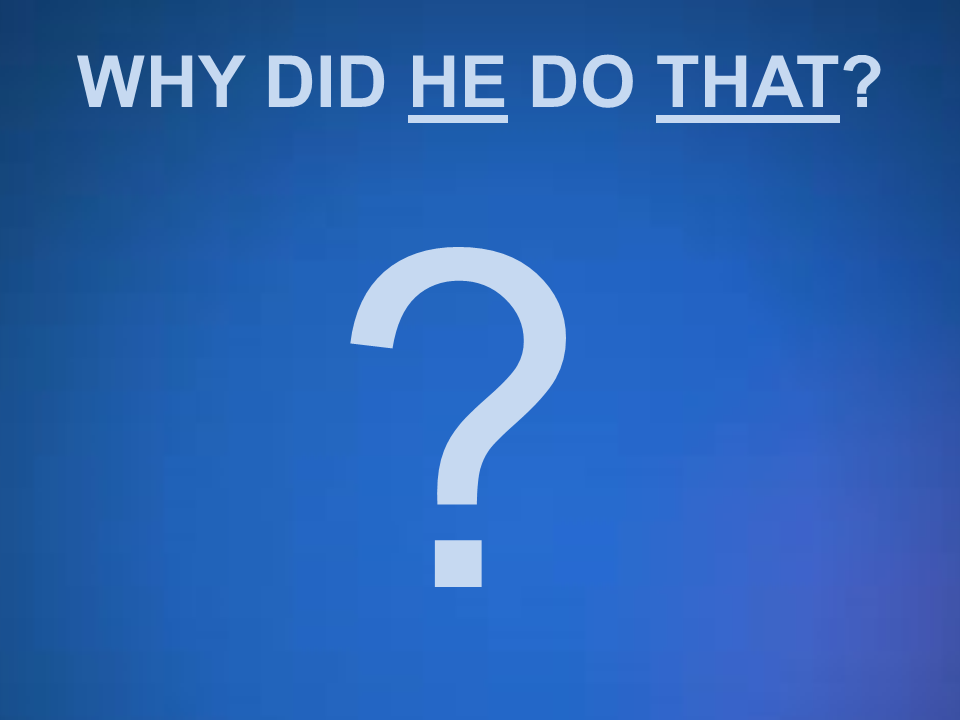 Why Did He Do That-grapphic.png