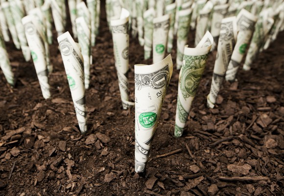 Double your money and get nice thank you gifts when you donate by August 31st! You can plant the seeds for success. We promise to nurture them and ensure they grow. 