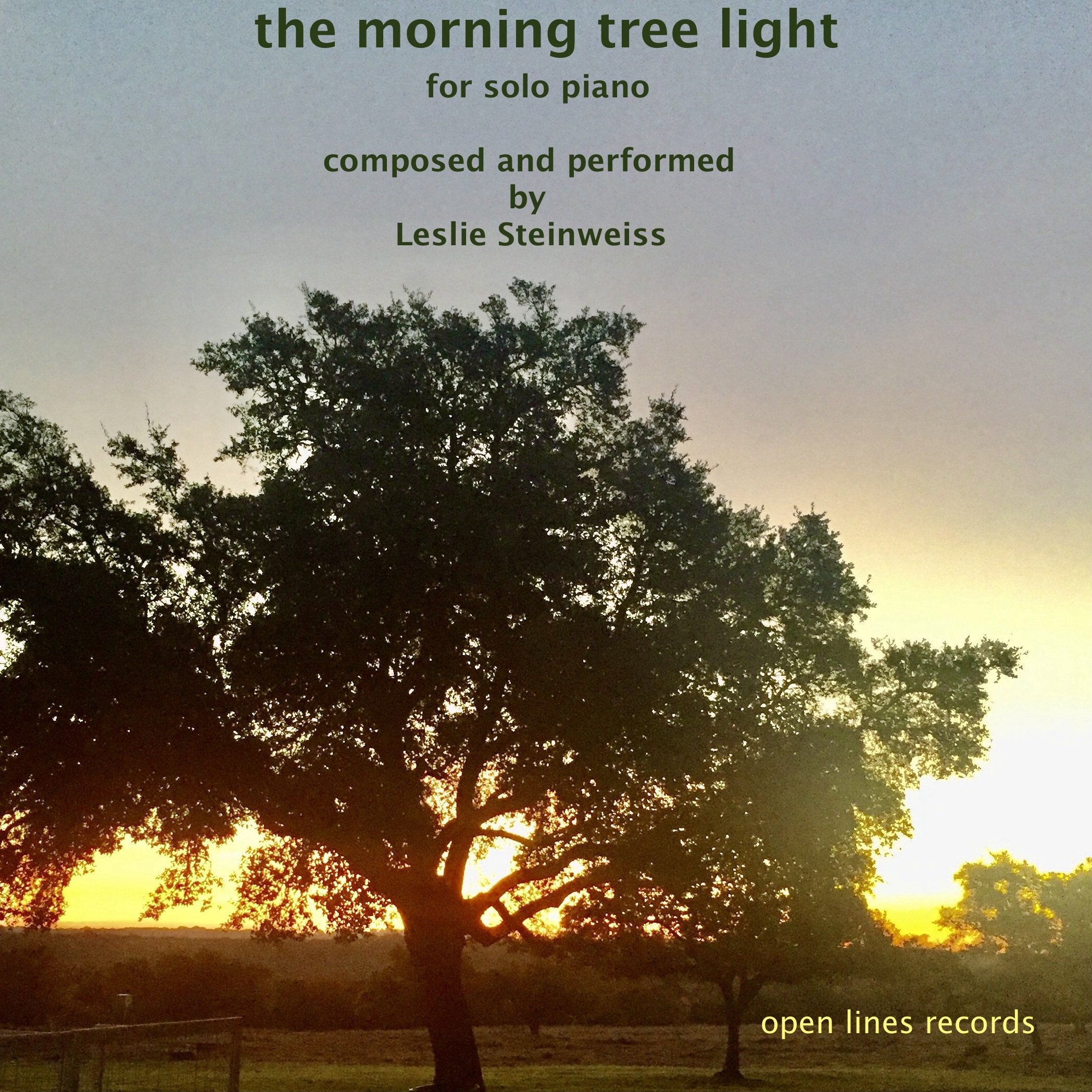 the morning tree light.JPG