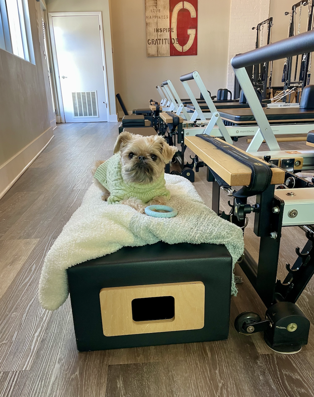 Screenshot 2026-02-19 at 1.03.34 PM.png