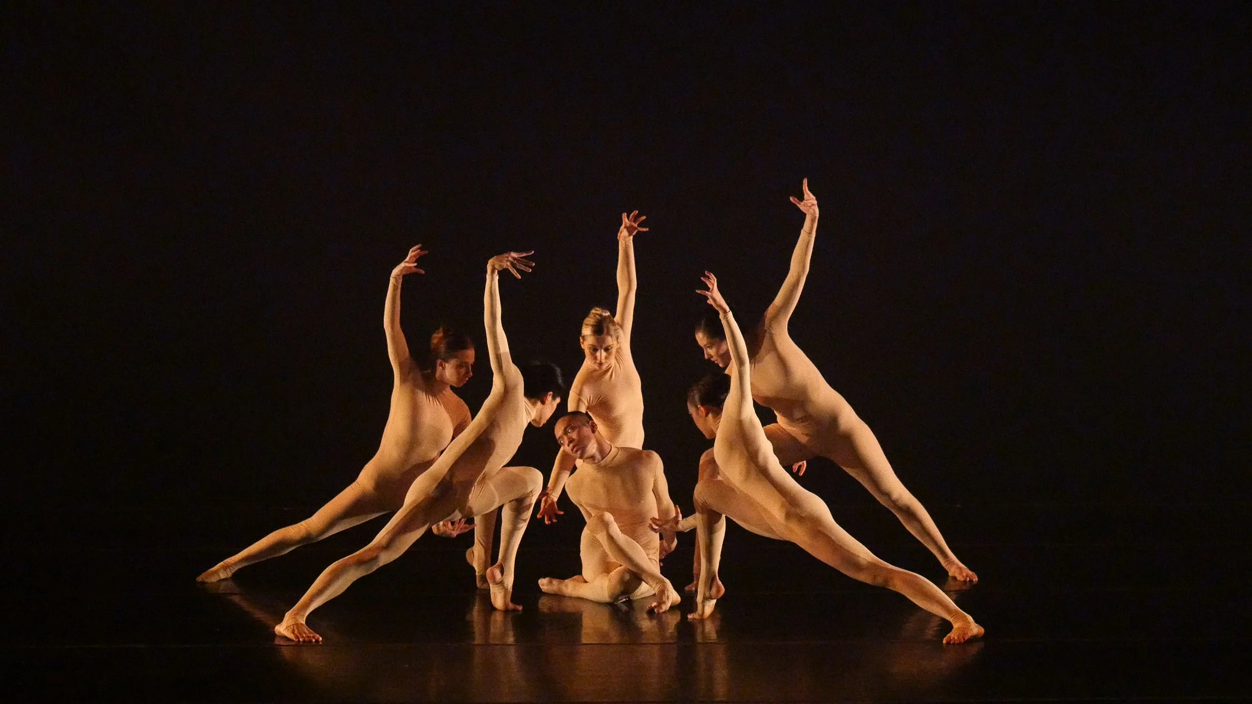 Killer Pig' by Sharon Eyal and Gai Behar, performed by James Sewell Ballet dancers