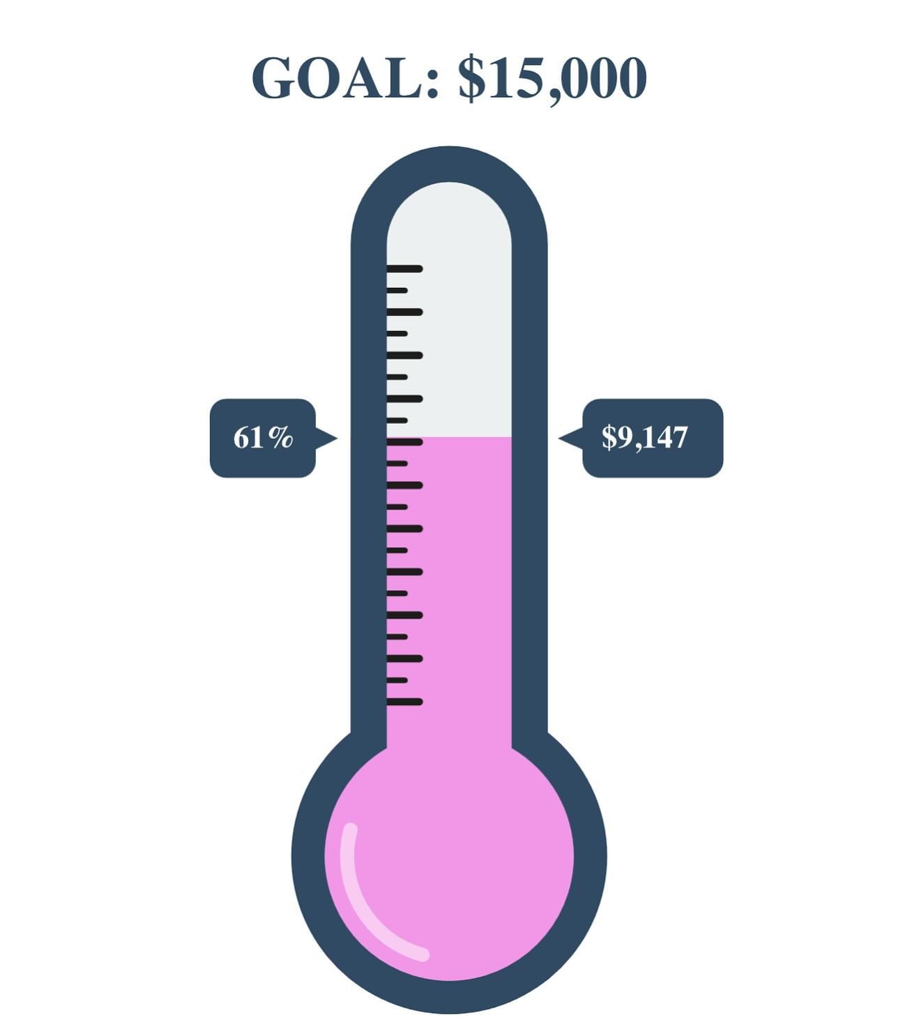 We are only $5,853 dollars away from our goal of $15k by the 15th (tomorrow). Let&rsquo;s get it done! We&rsquo;re almost there! #15kbythe15th #browngirlsdoballet #keepdancing #fundraiser