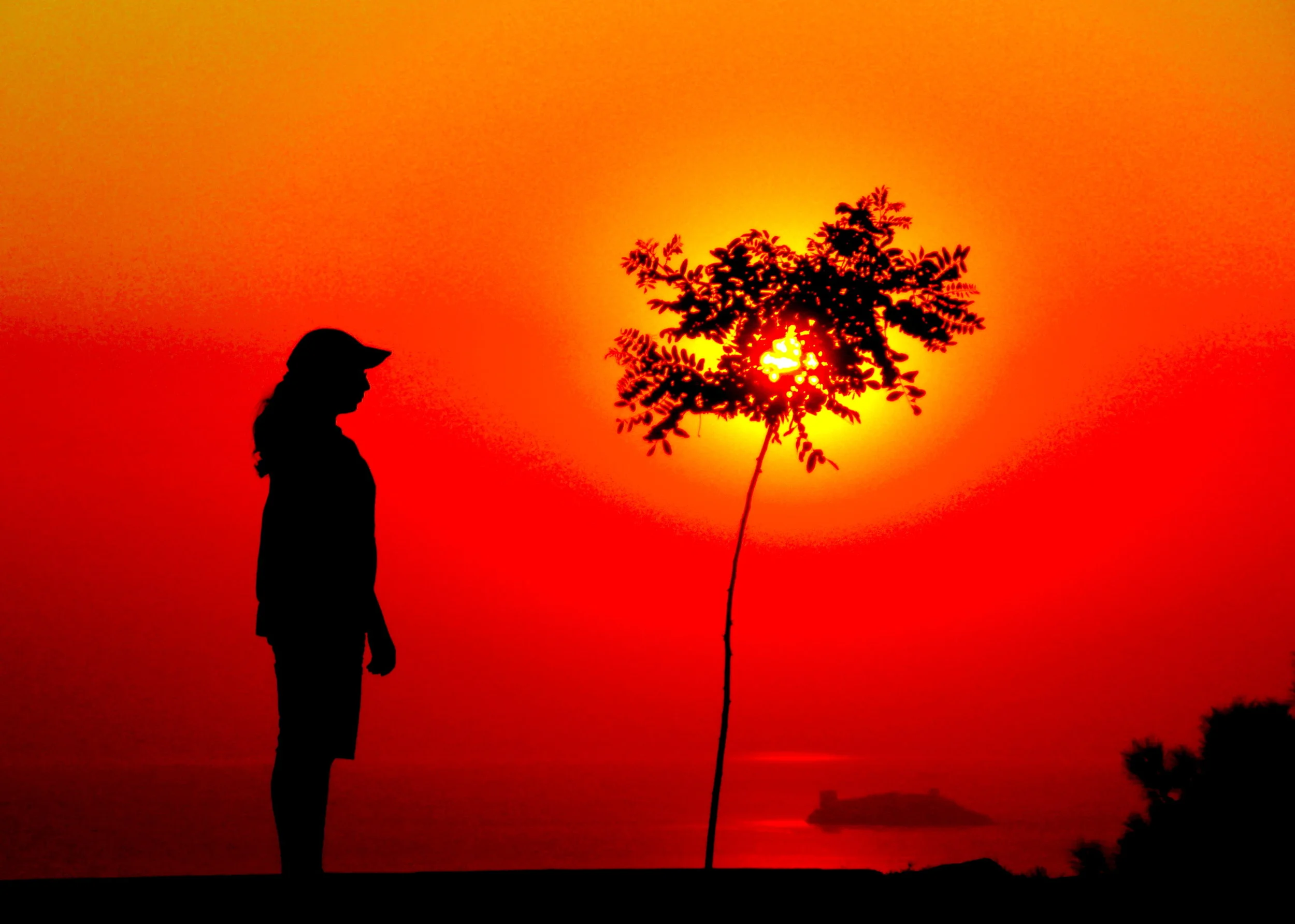 West Coast Family Constellation Residential Intensive Training In Marin County 