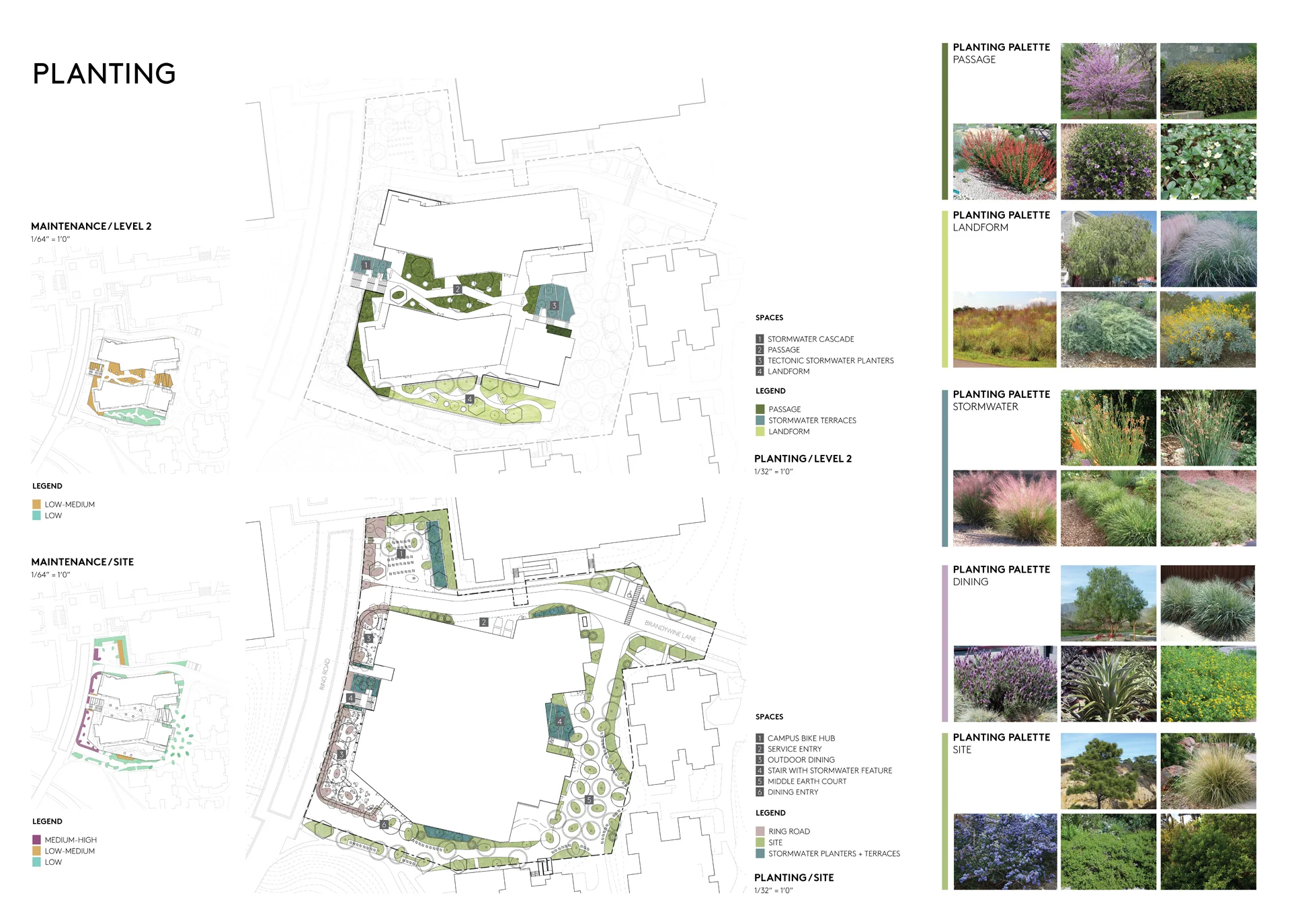 Middle Earth_Site2.jpg