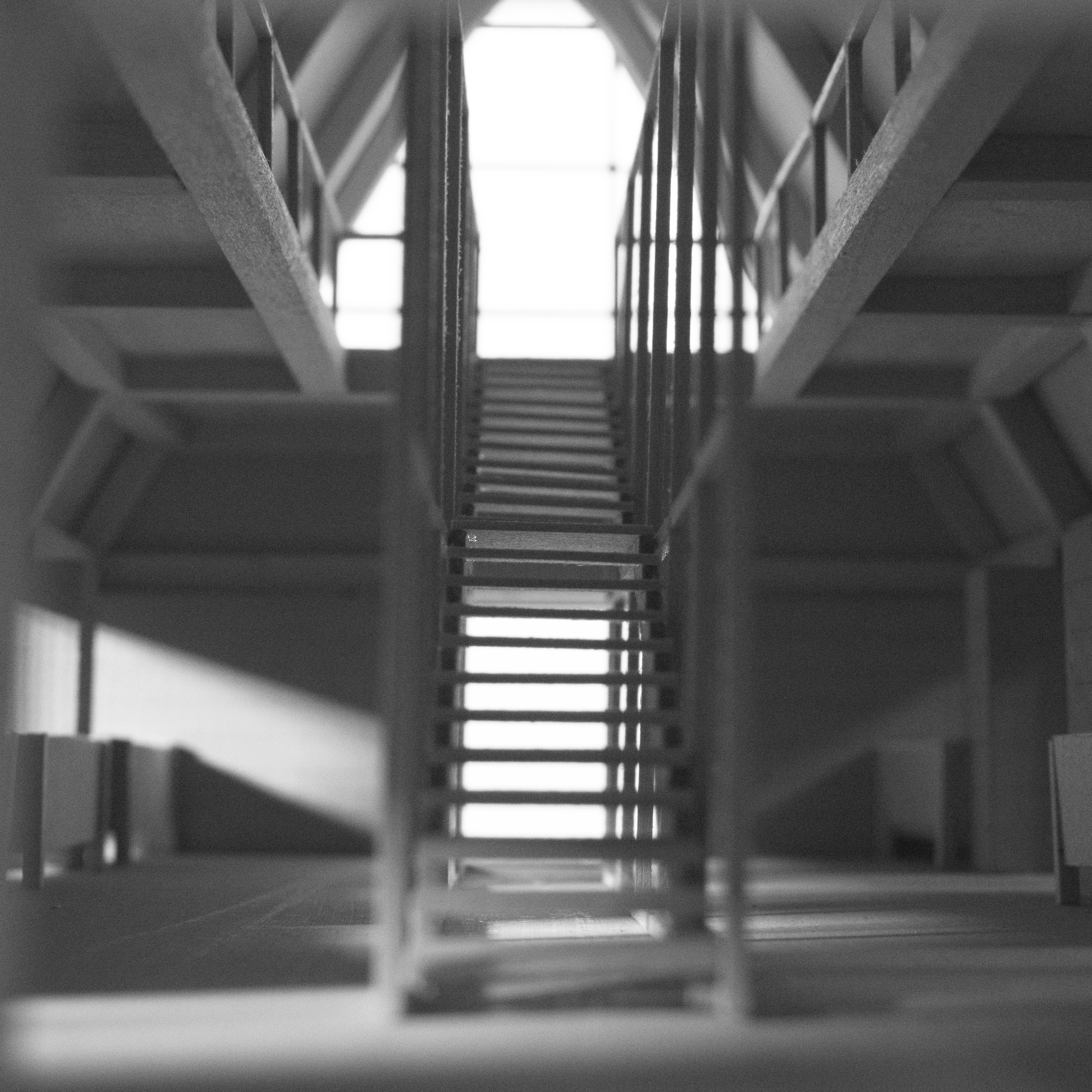DSC_0447 - B&W.png