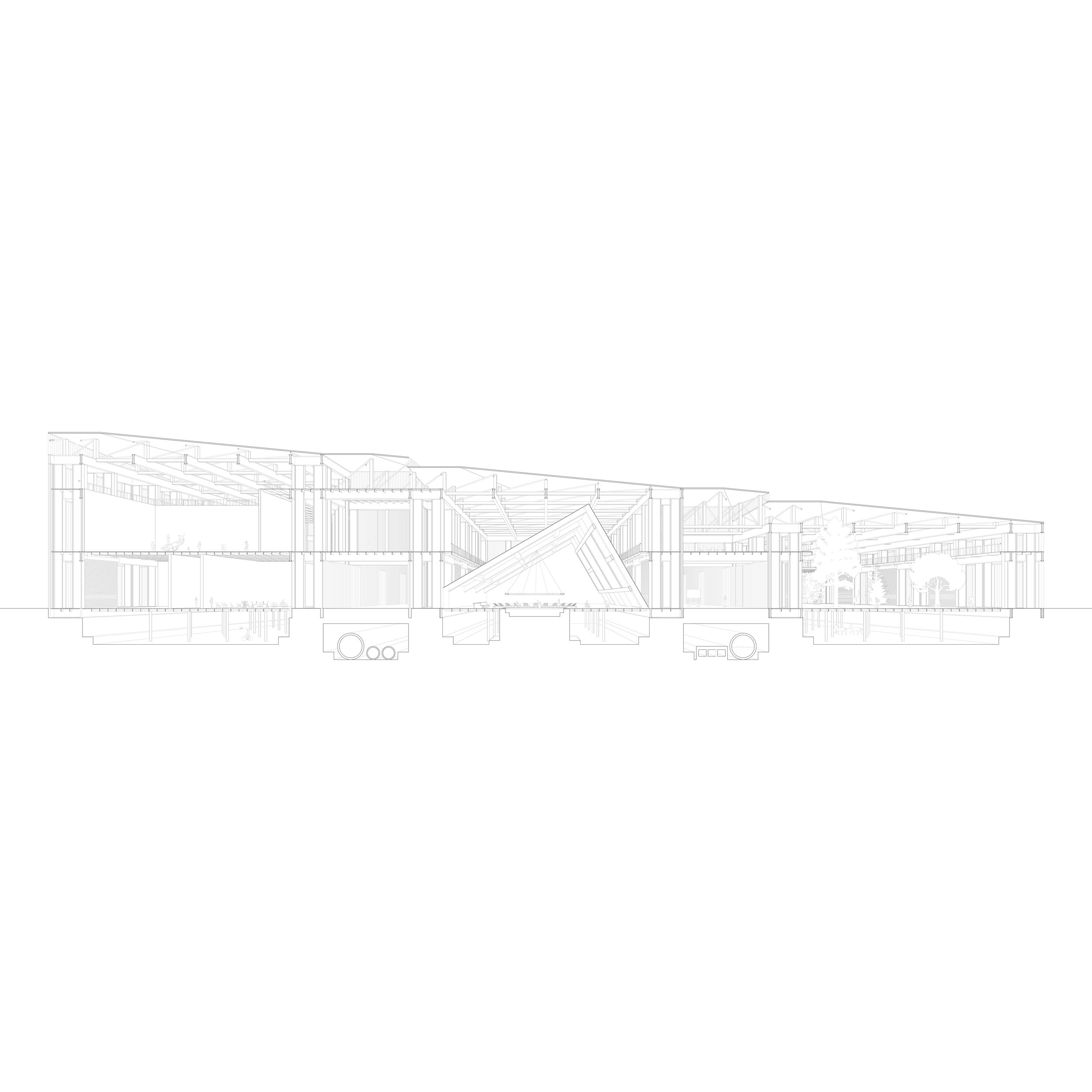 SECTION PERSPECTIVE_Square.jpg