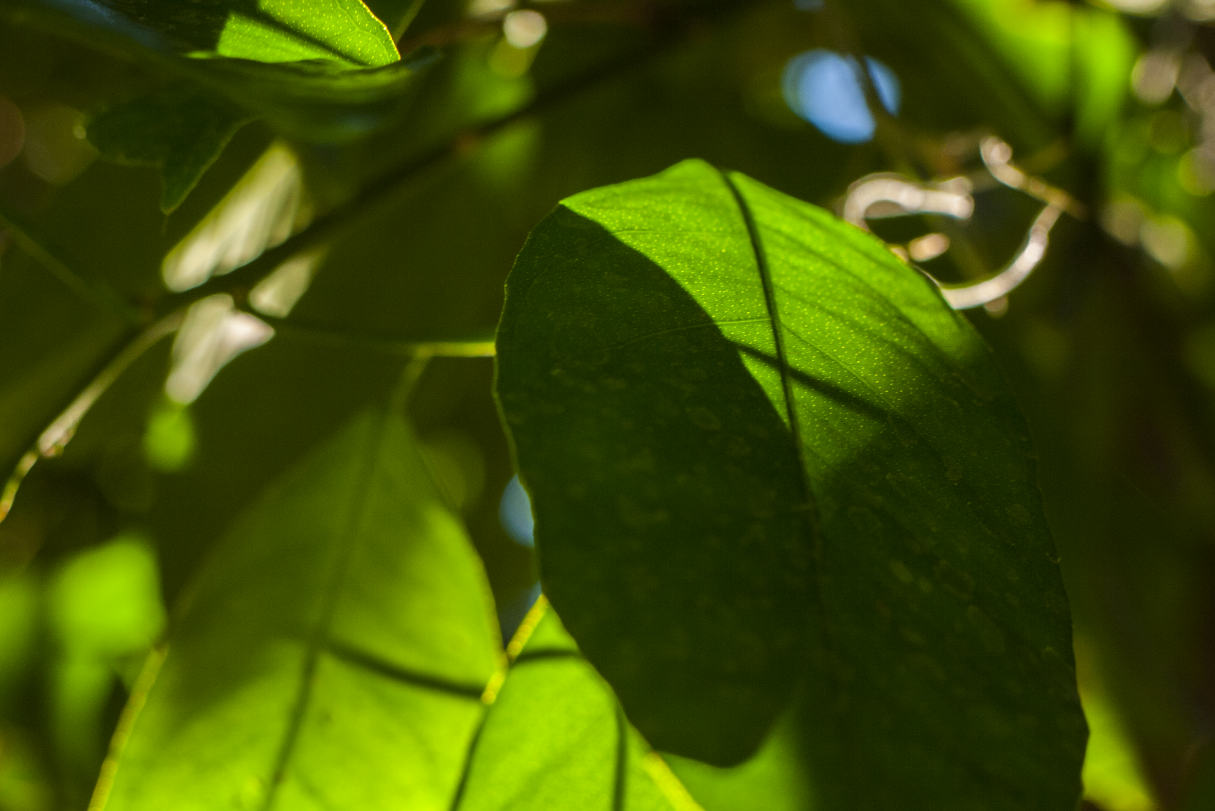 P1310820.png