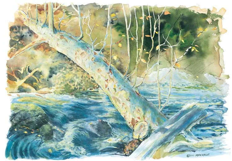 COTTONWOODPRINT.jpg