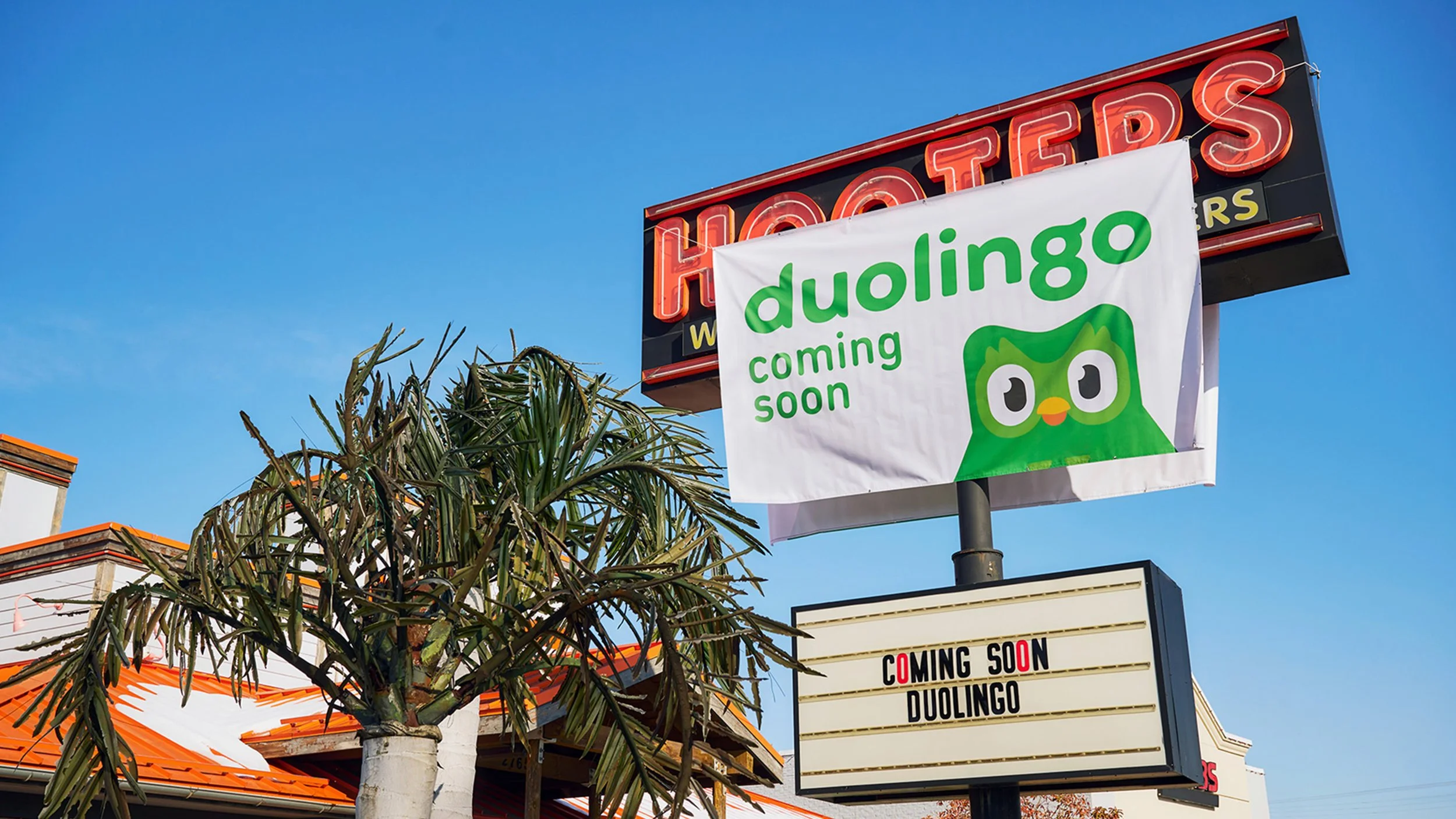 Supporting Image 3.jpg