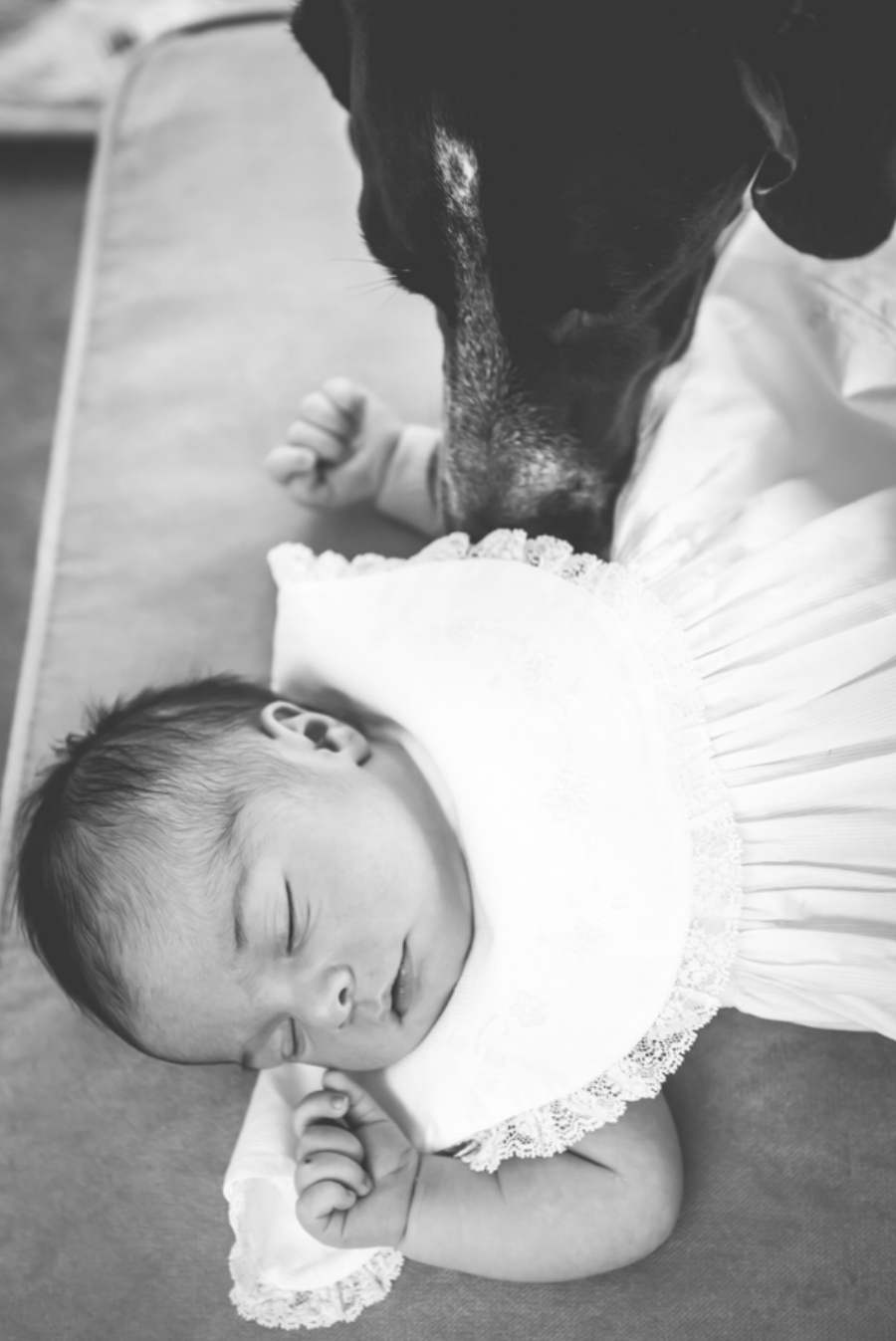 Baby Girl Newborn Photos - Reflecting Grace Photography