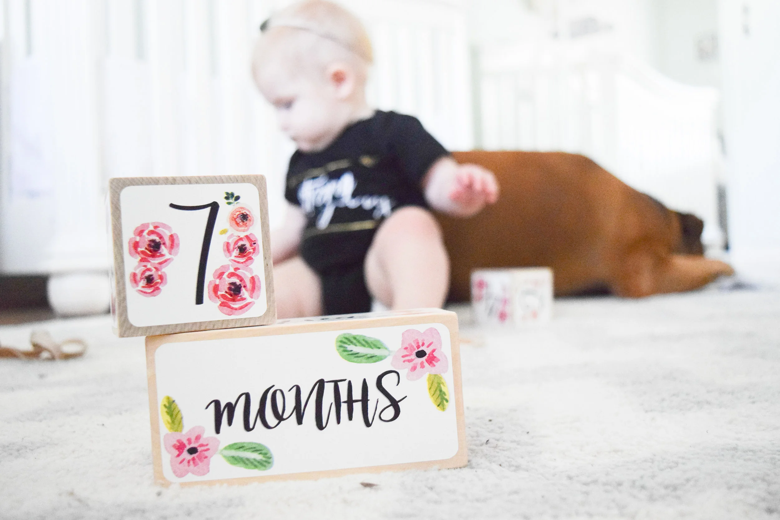AVA'S 7 MONTH UPDATE | Baby Milestone Blocks GIVEAWAY