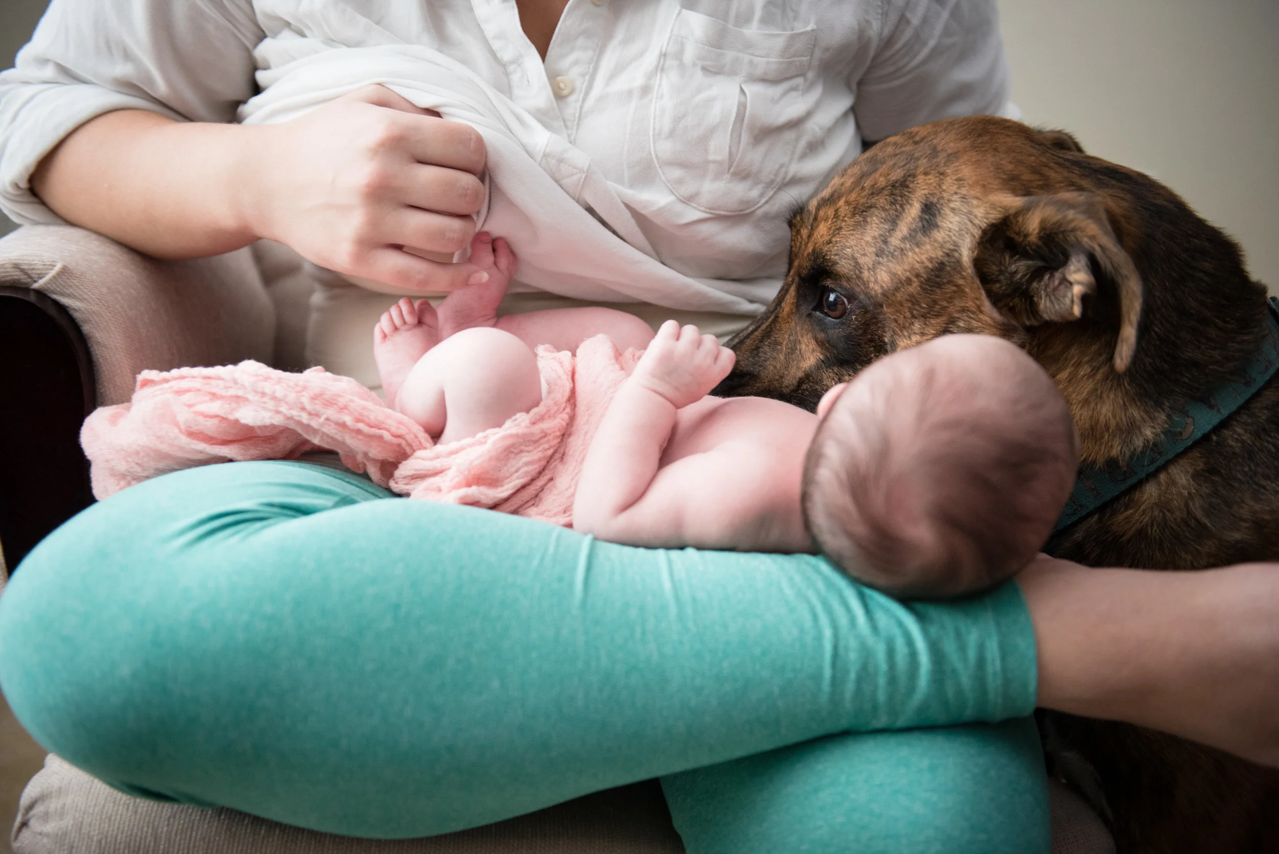 NEWBORN PHOTOS | Newborn Snuggles