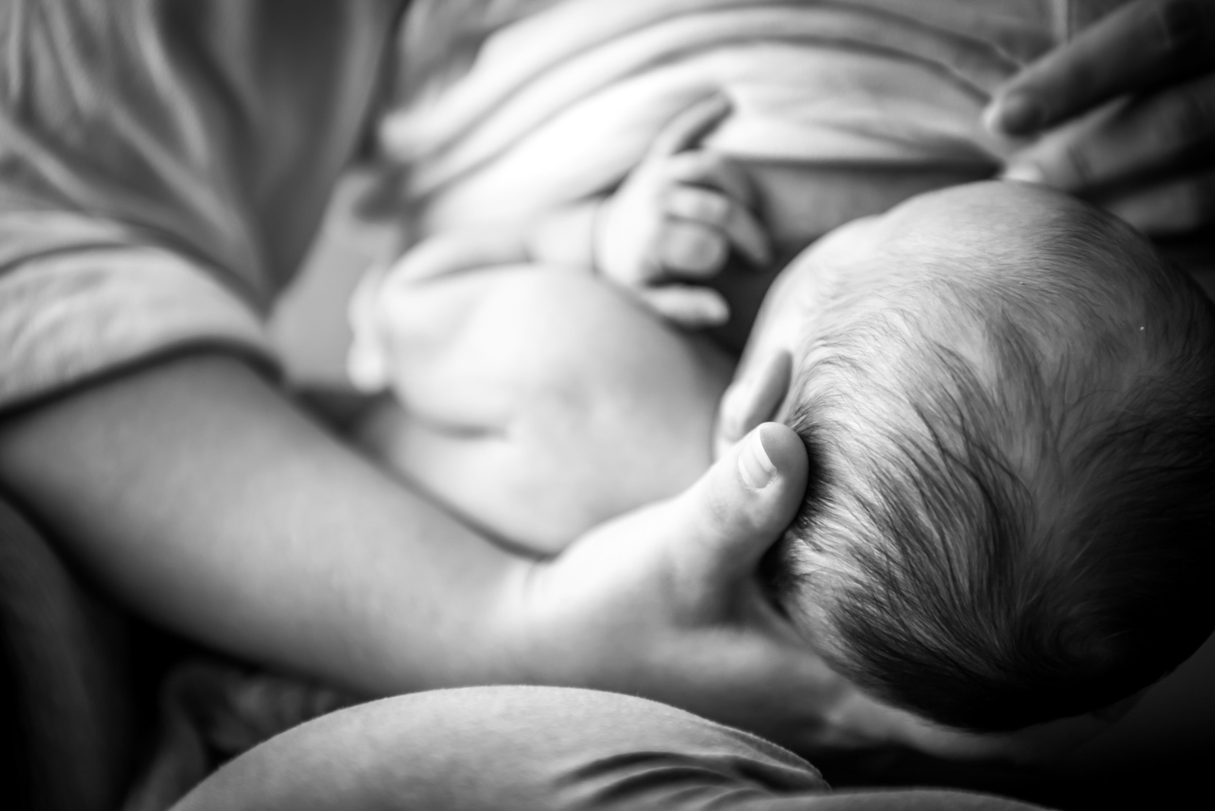 Family Newborn Photos - Reflecting Grace Photography