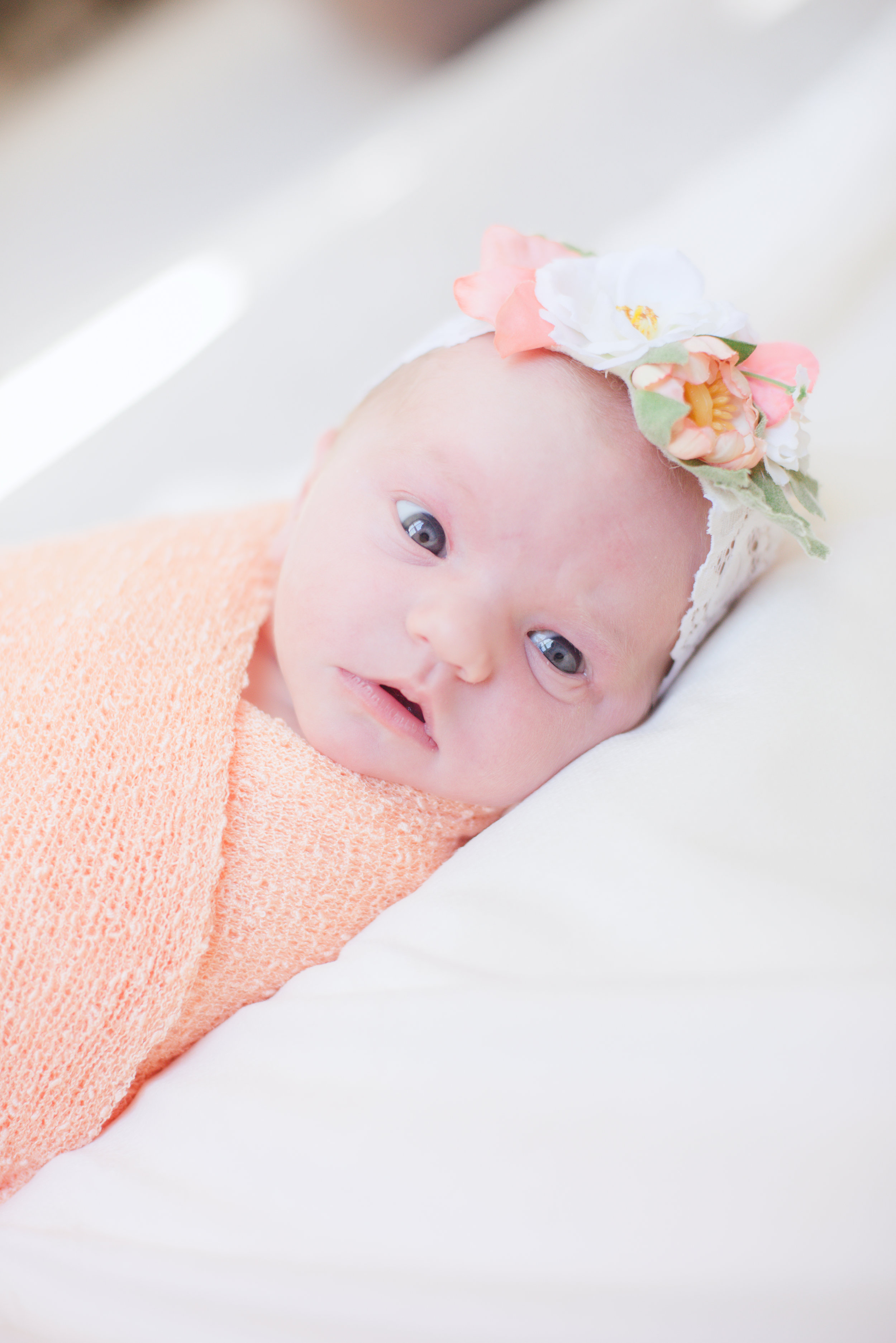 MATERNITY + NEWBORN PHOTOS | Oh The Places You'll Go! -- Hot Air Balloon Themed Maternity + Newborn Session