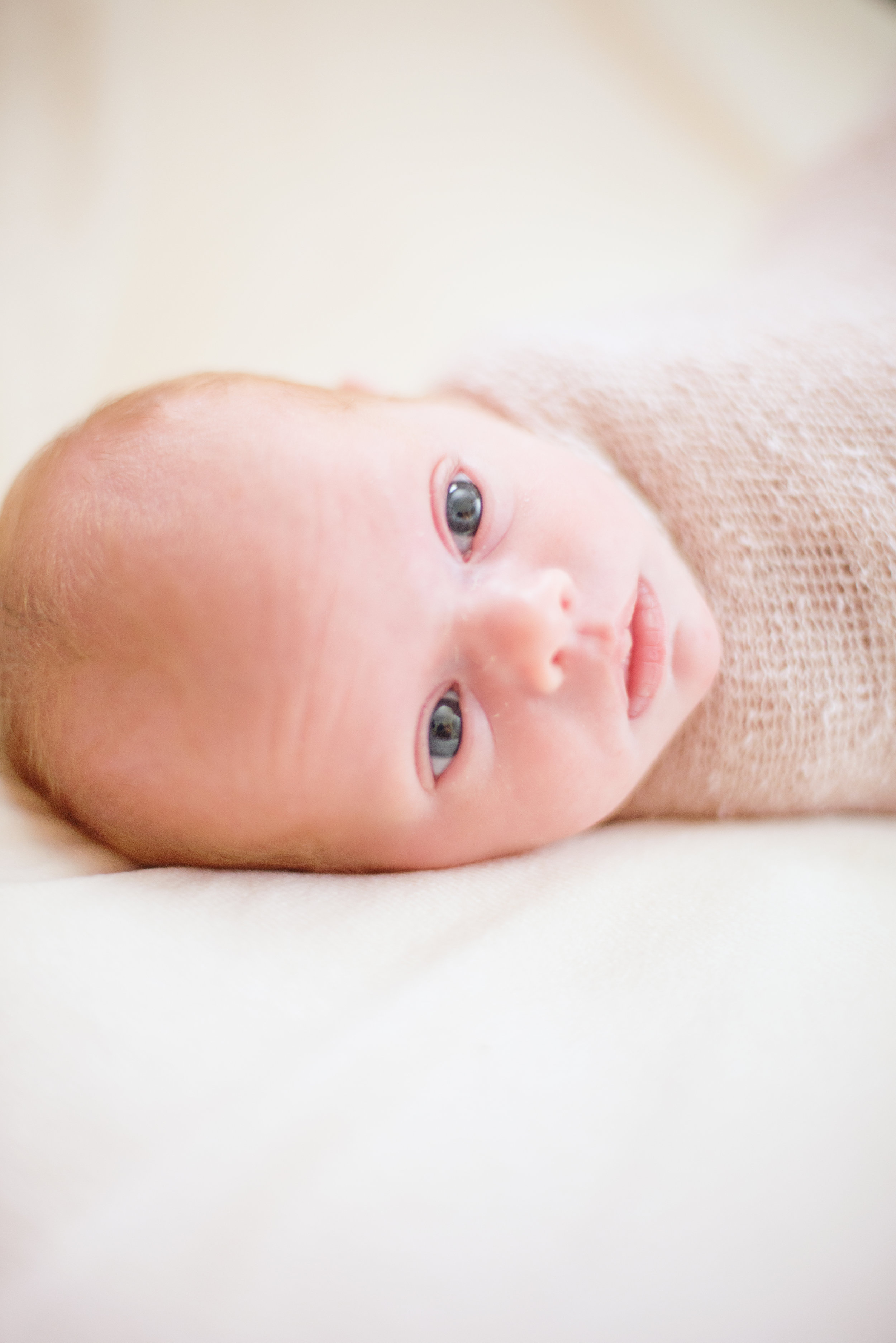 MATERNITY + NEWBORN PHOTOS | A Dreamy Boho Pink + Grey Maternity and Newborn Photos