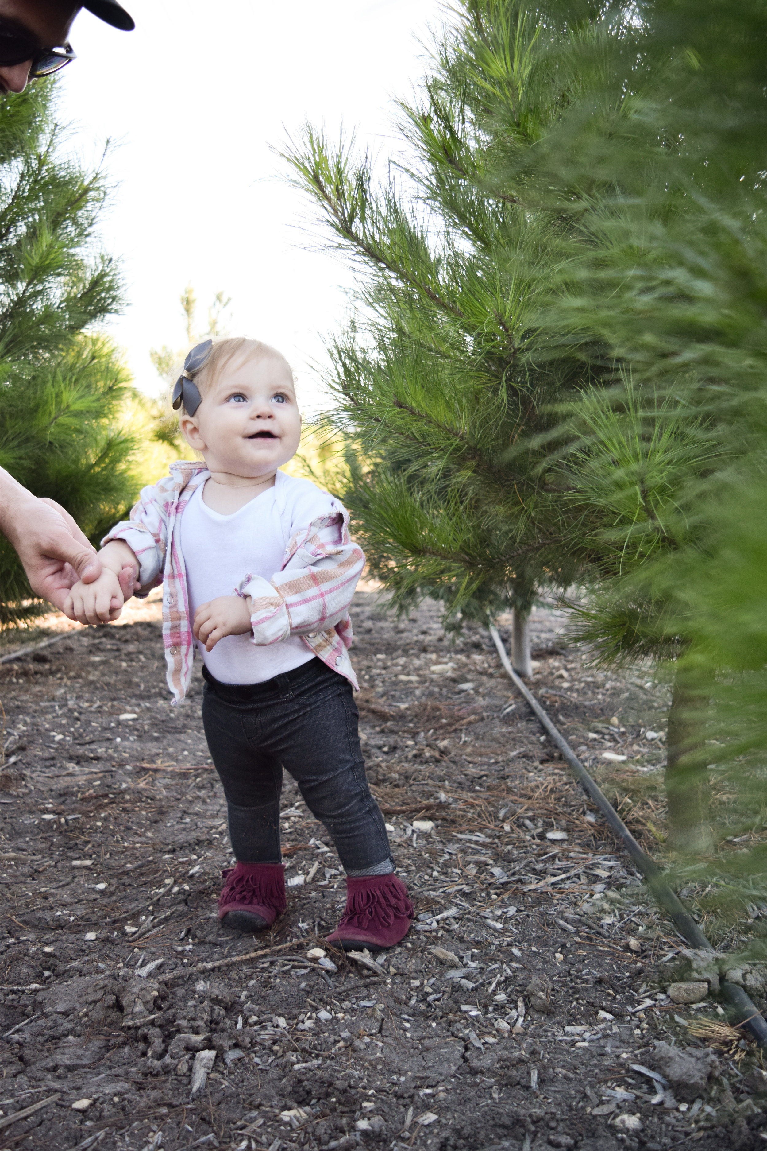 AVA'S FIRST CHRISTMAS TREE