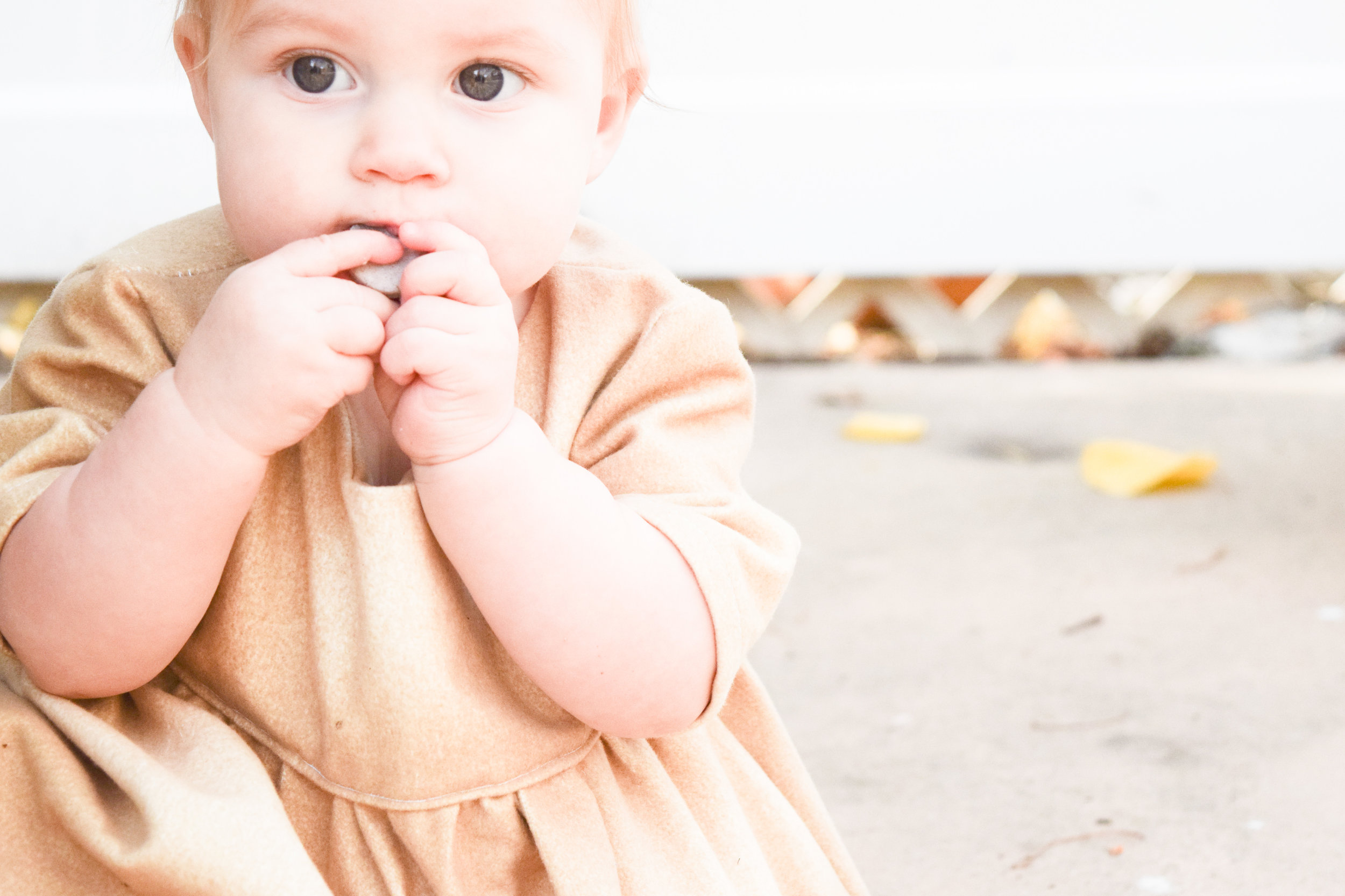BABY FASHION | A gold baby holiday dress and red baby flower headband