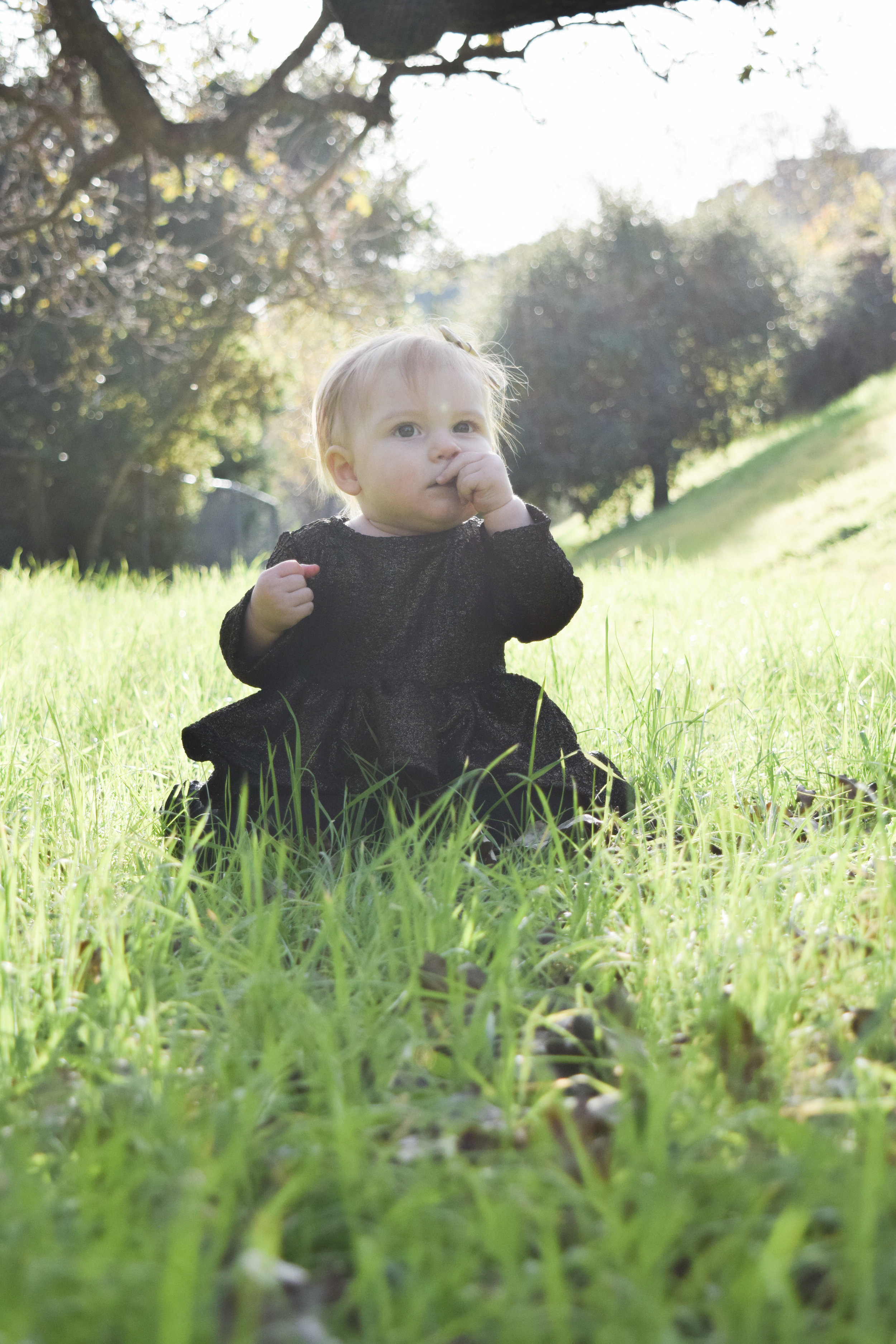 BABY FASHION - black and gold baby peplum, gold baby bow, velvet baby bloomers, black formal pediped baby shoes