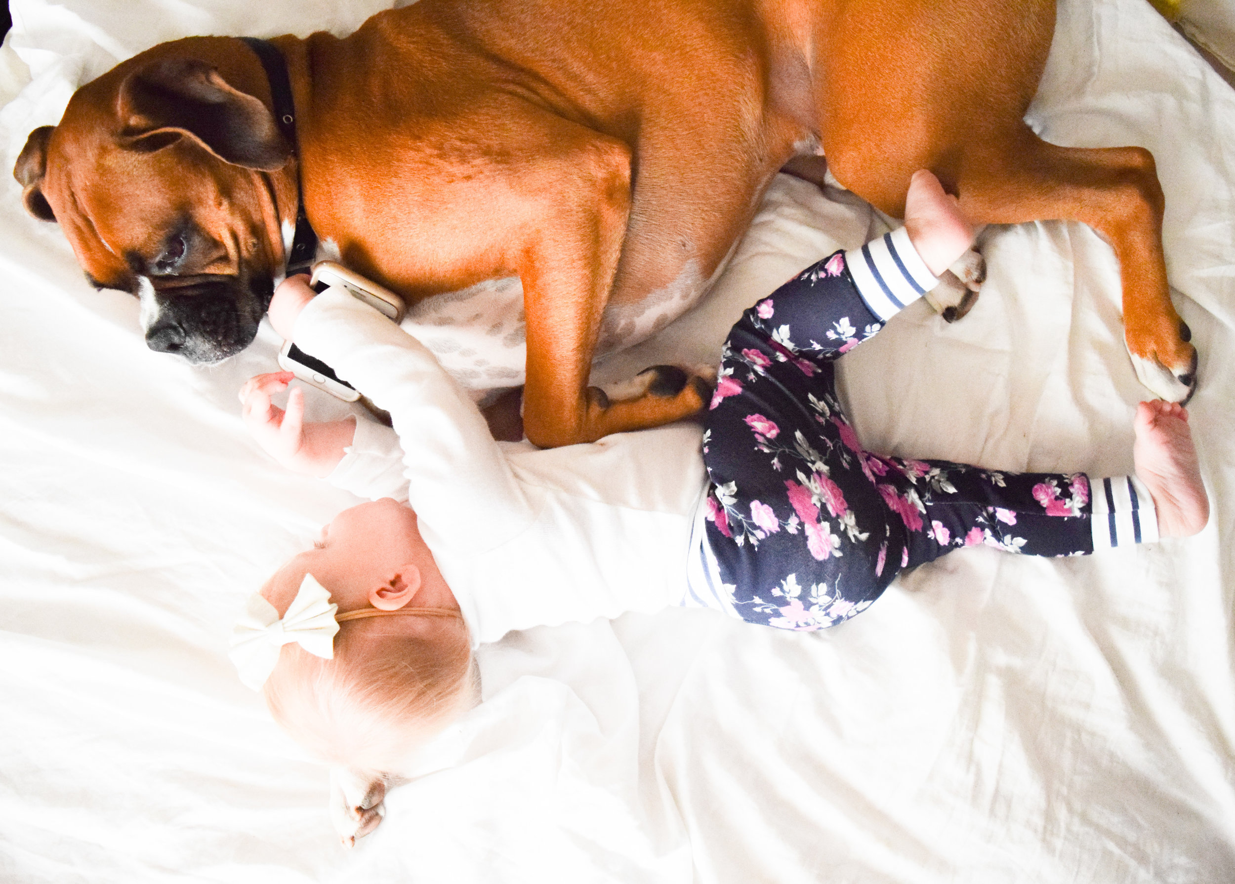 Baby + Boxer Puppy Photos - Floral Baby Joggers
