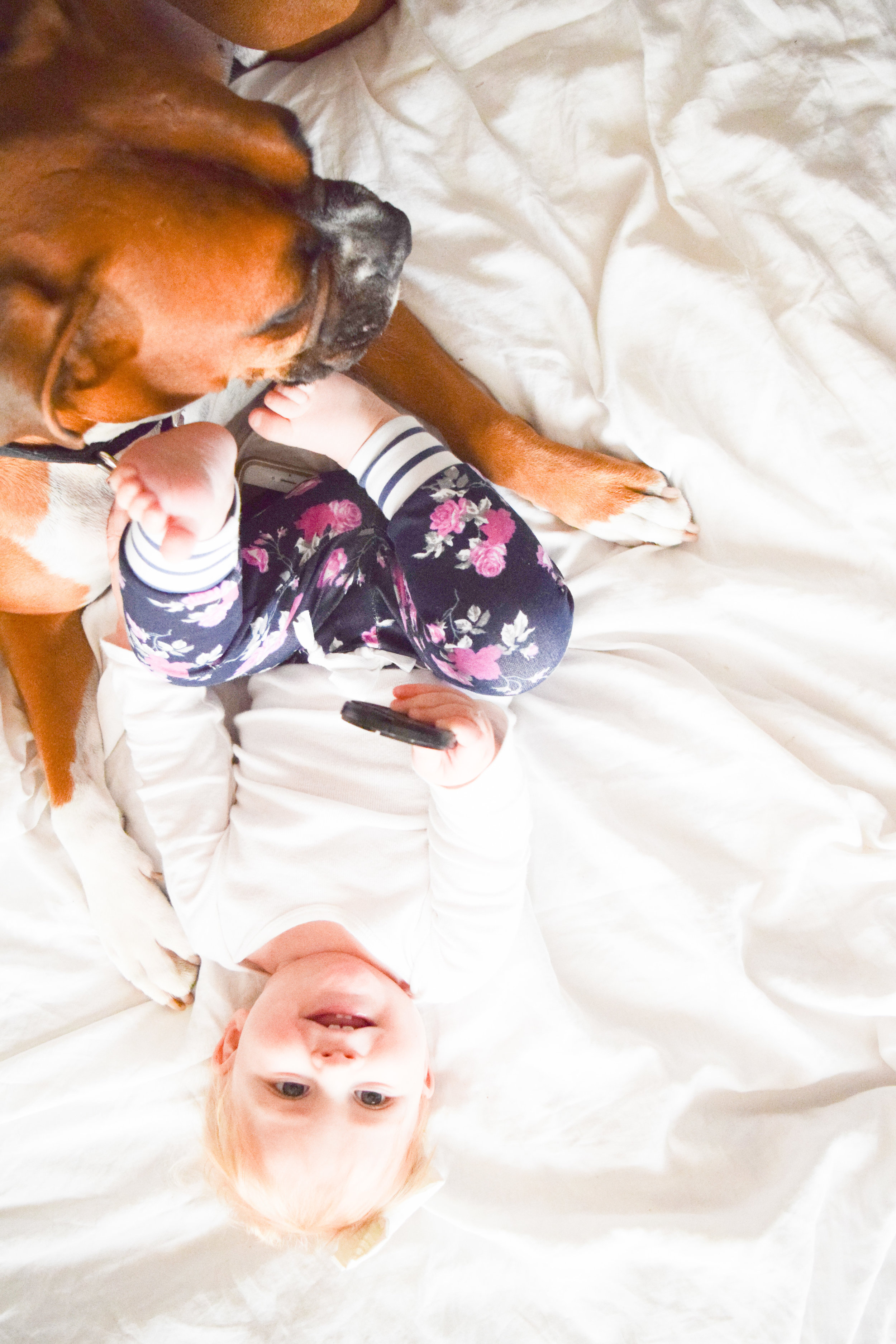 Baby + Boxer Puppy Photos - Floral Baby Joggers