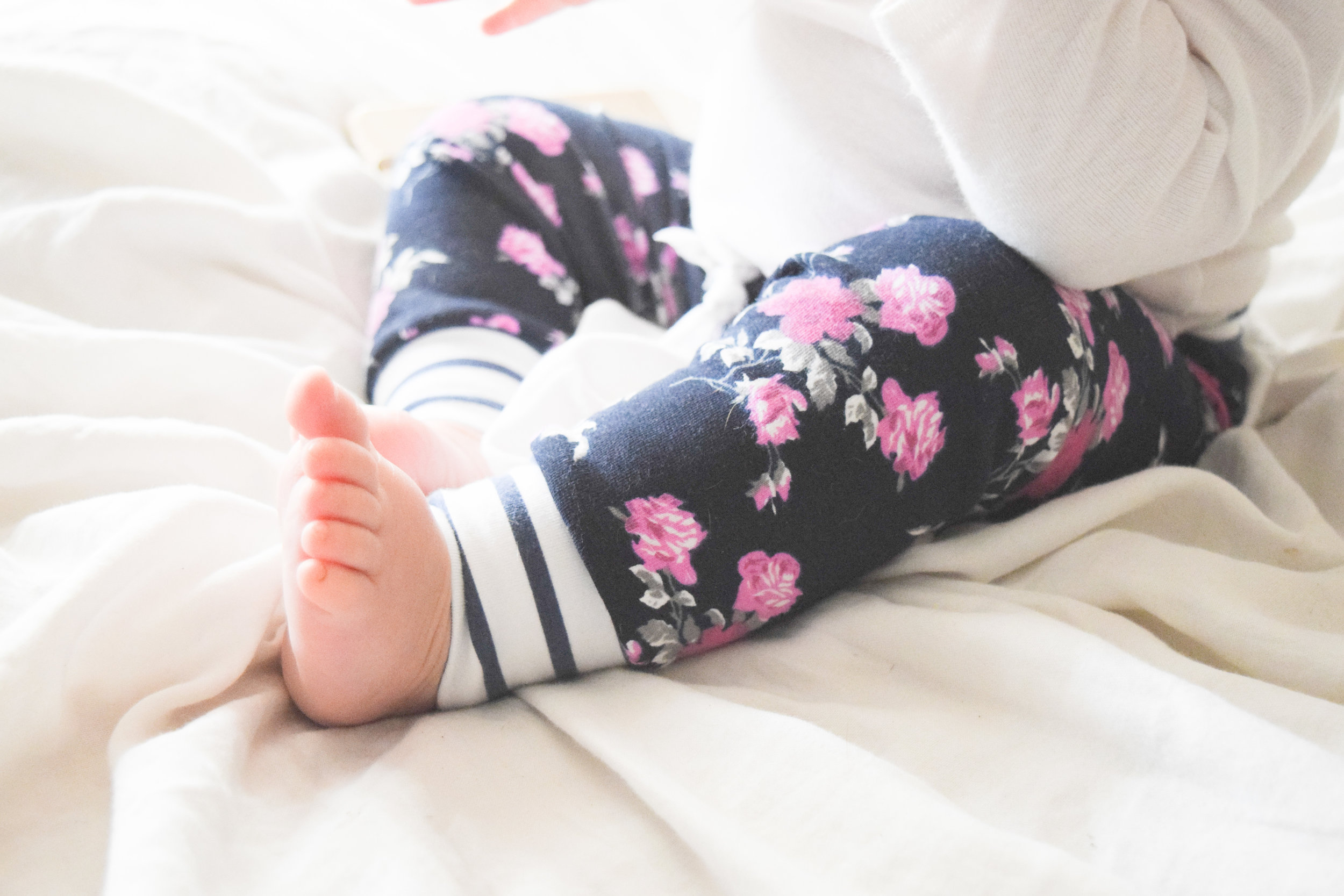 Baby + Boxer Puppy Photos - Floral Baby Joggers