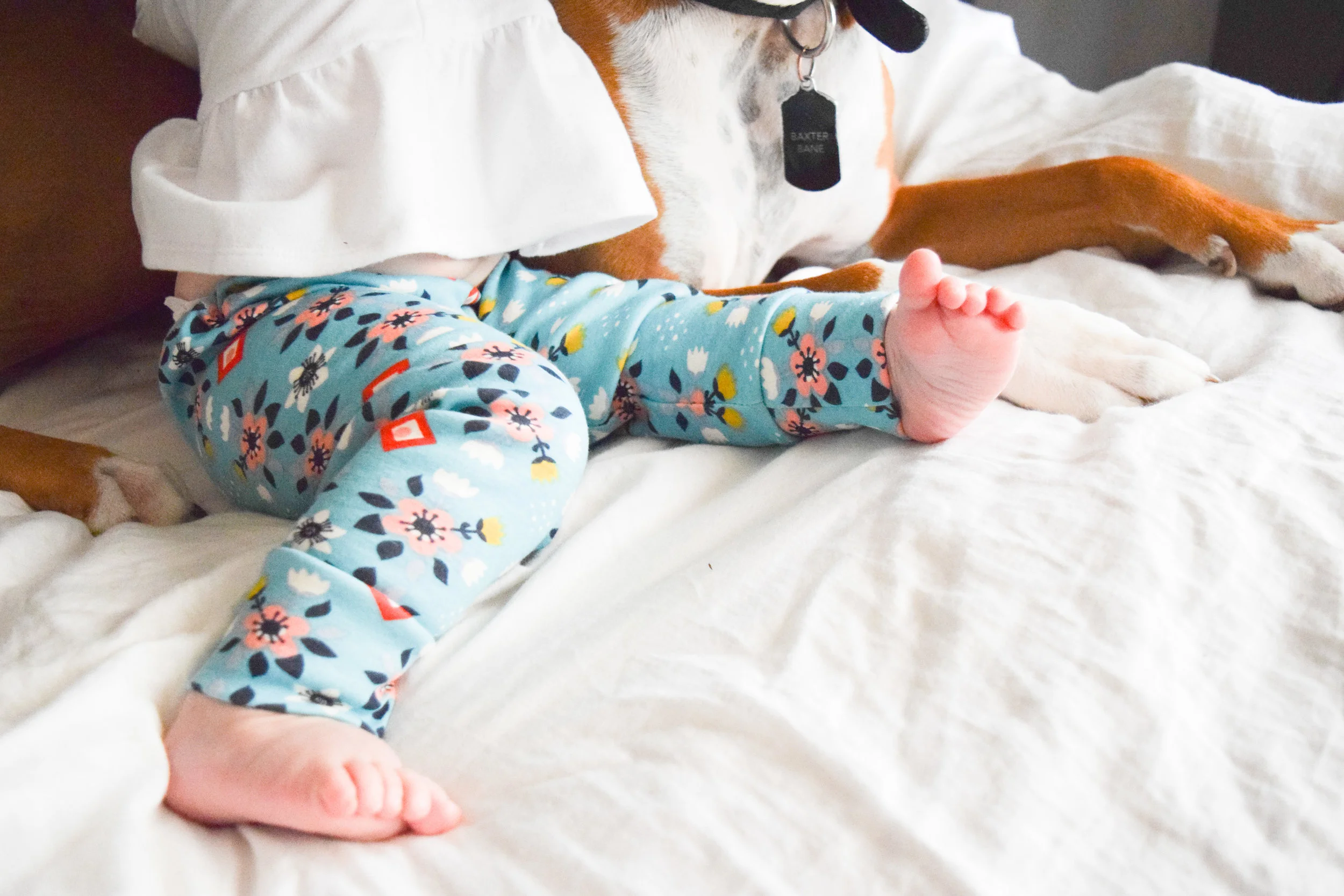 Teal Baby Floral Leggings - Baby + Boxer Puppy Photos