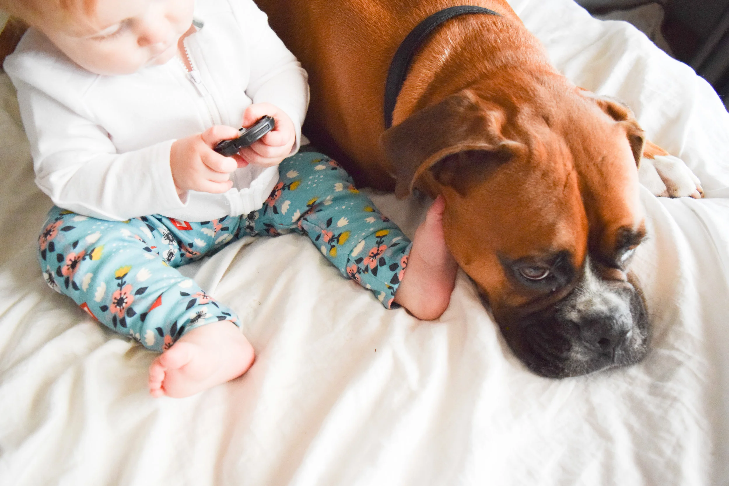 Teal Baby Floral Leggings - Baby + Boxer Puppy Photos