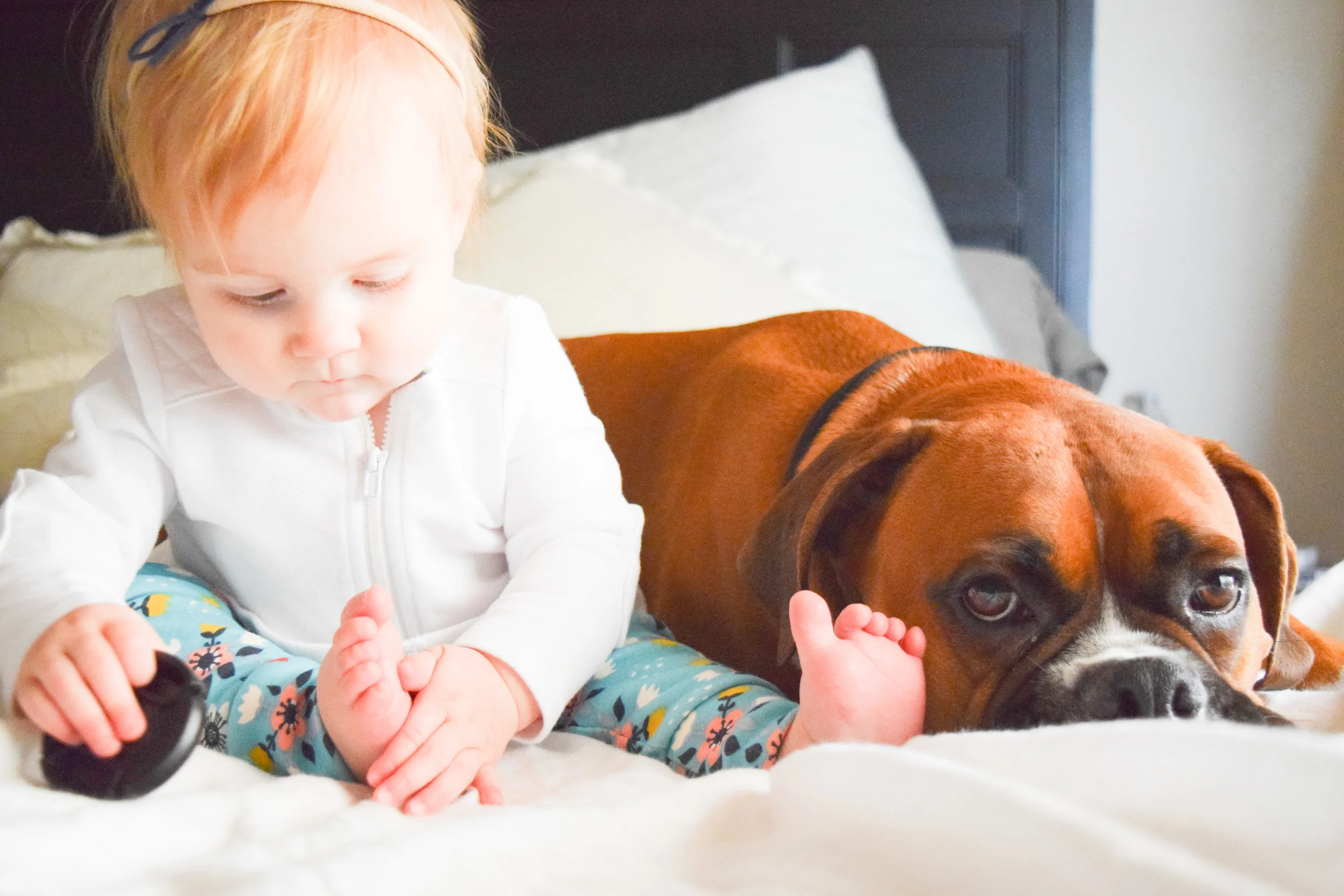 Teal Baby Floral Leggings - Baby + Boxer Puppy Photos
