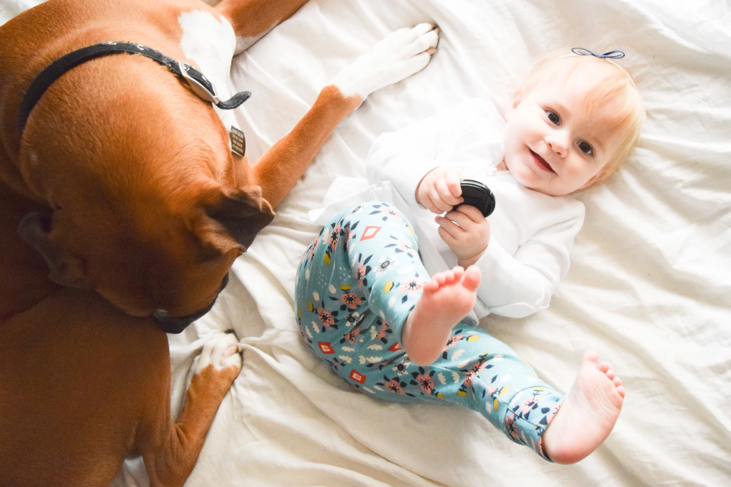 Teal Baby Floral Leggings - Baby + Boxer Puppy Photos