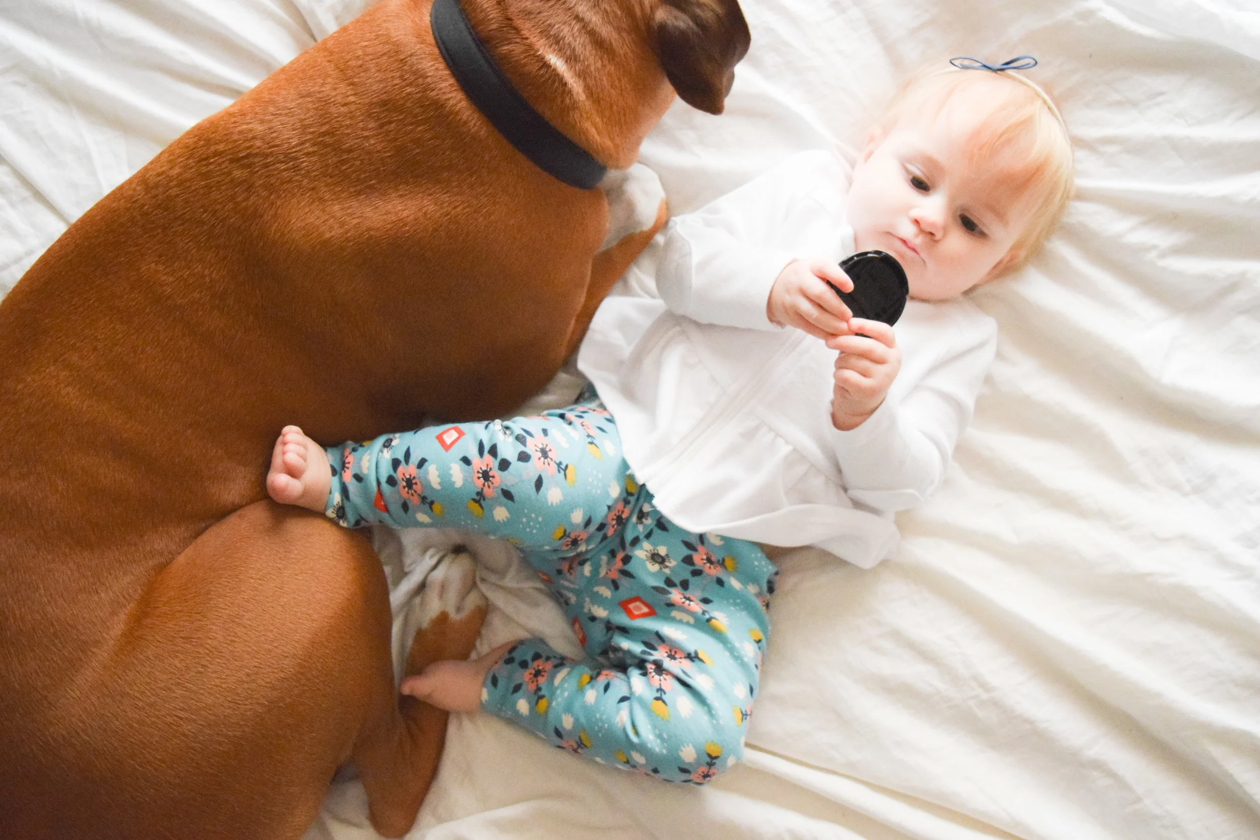 Teal Baby Floral Leggings - Baby + Boxer Puppy Photos