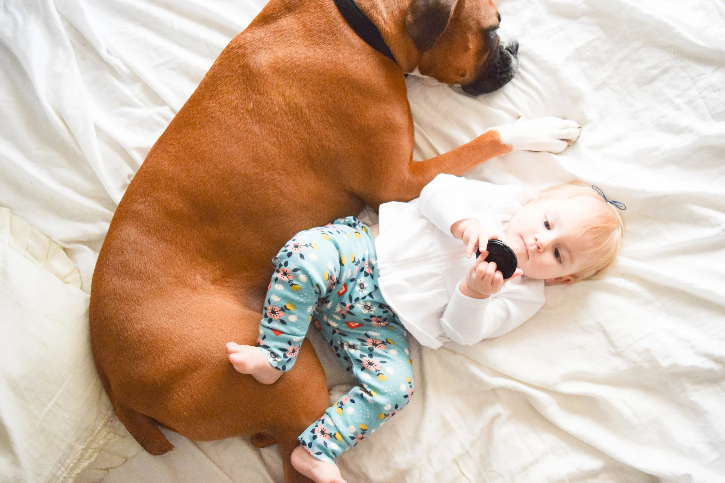 Teal Baby Floral Leggings - Baby + Boxer Puppy Photos
