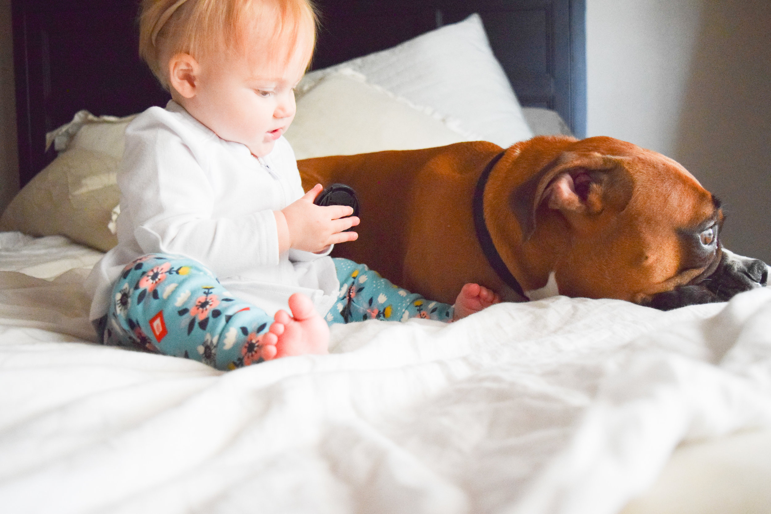 Teal Baby Floral Leggings - Baby + Boxer Puppy Photos