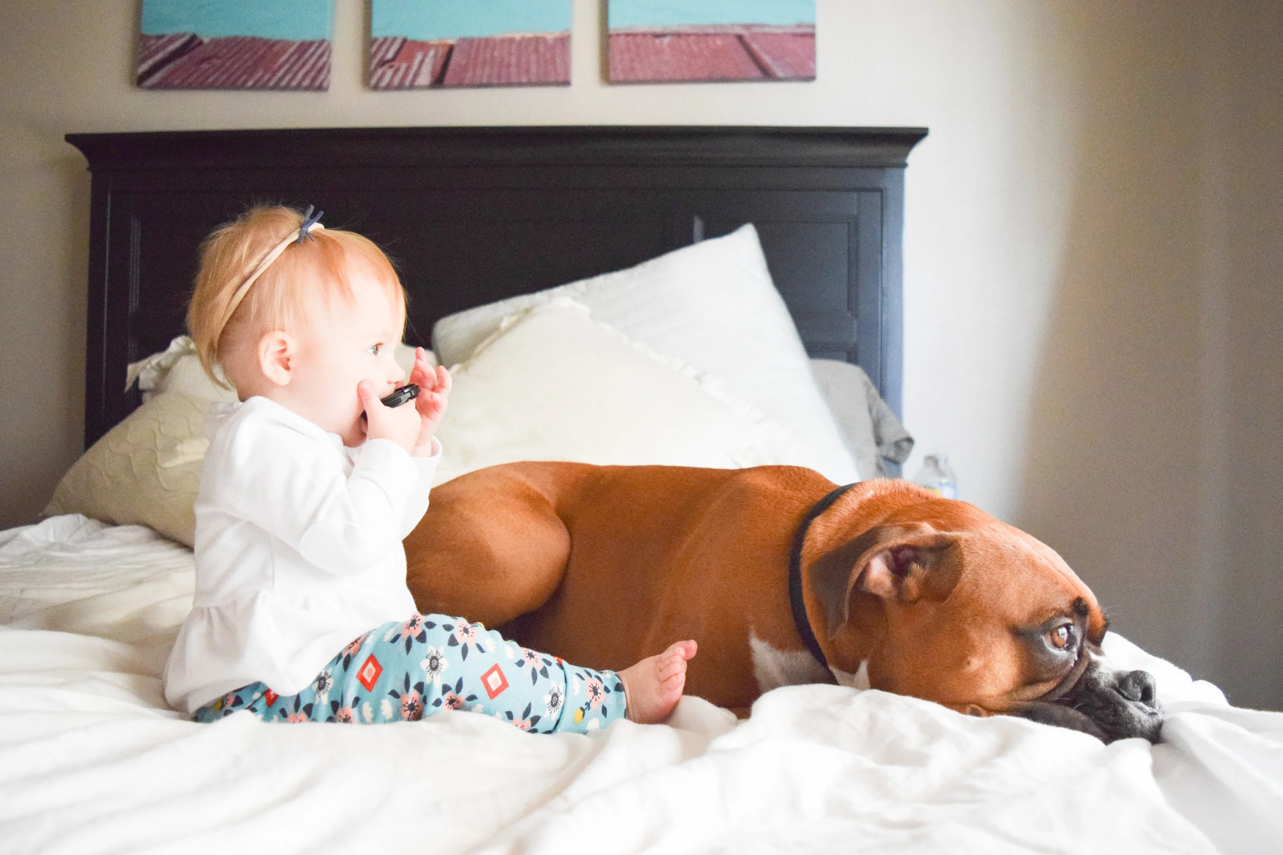 Teal Baby Floral Leggings - Baby + Boxer Puppy Photos