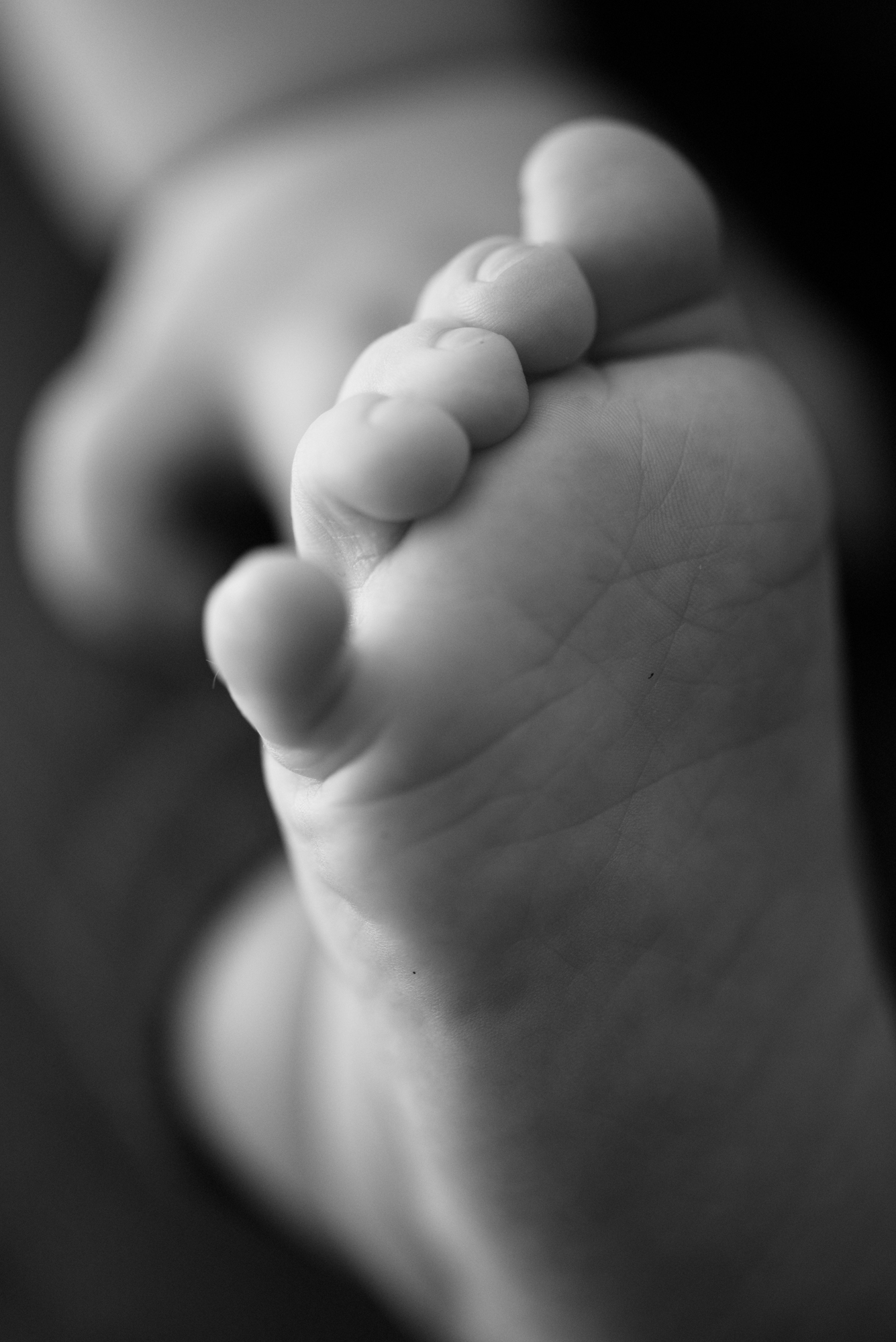 Military Baby Photos - Military Family Photos - Six Month Old Baby Photos