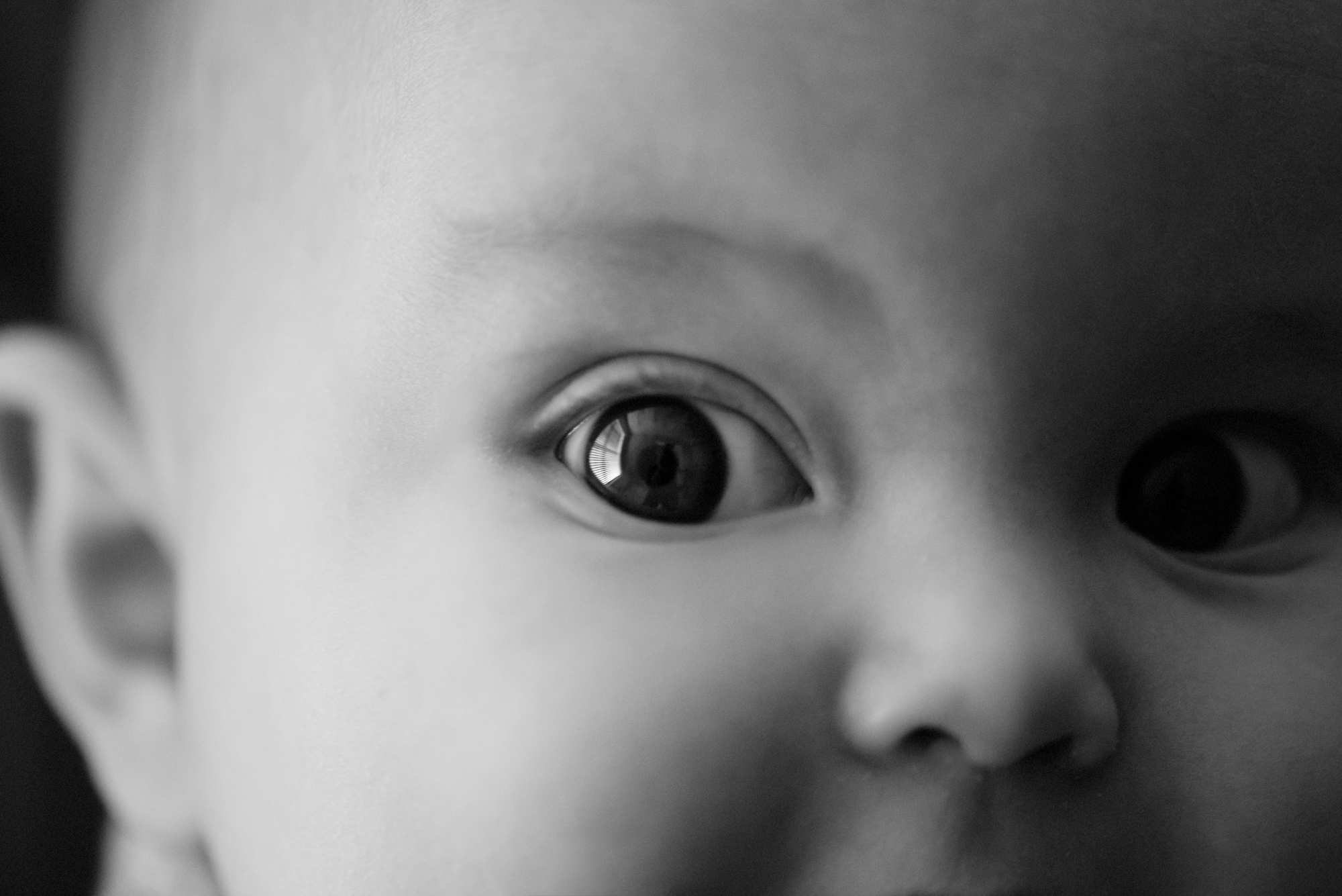 Military Baby Photos - Military Family Photos - Six Month Old Baby Photos