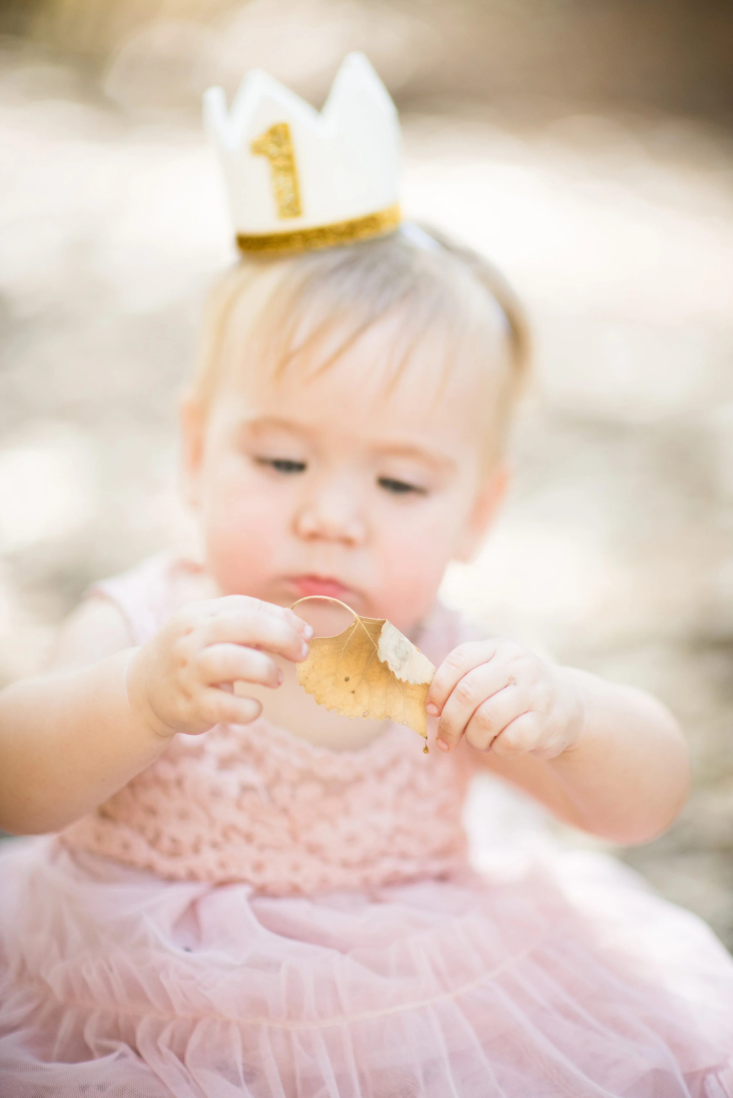 Baby Girl's First Birthday Outfit