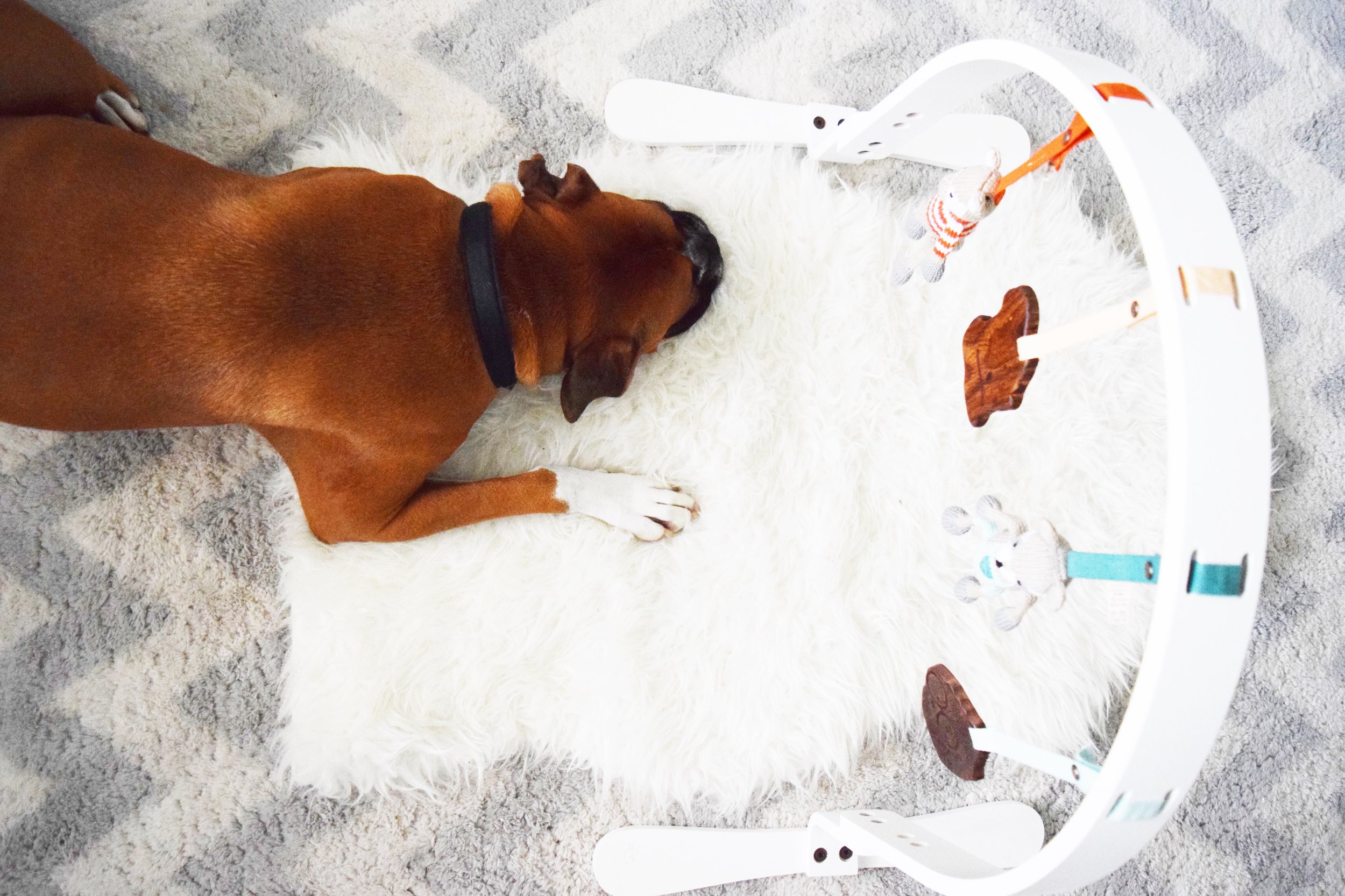 Wooden Organic Baby Play Gym - Finn + Emma