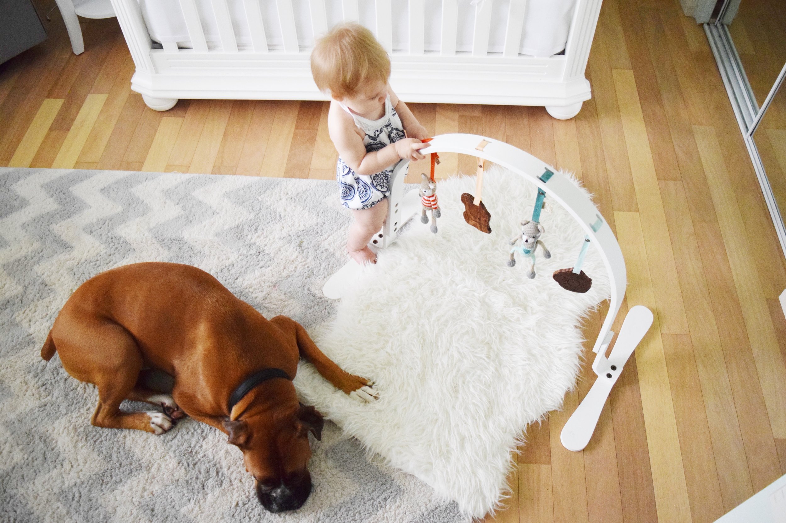 Wooden Organic Baby Play Gym - Finn + Emma
