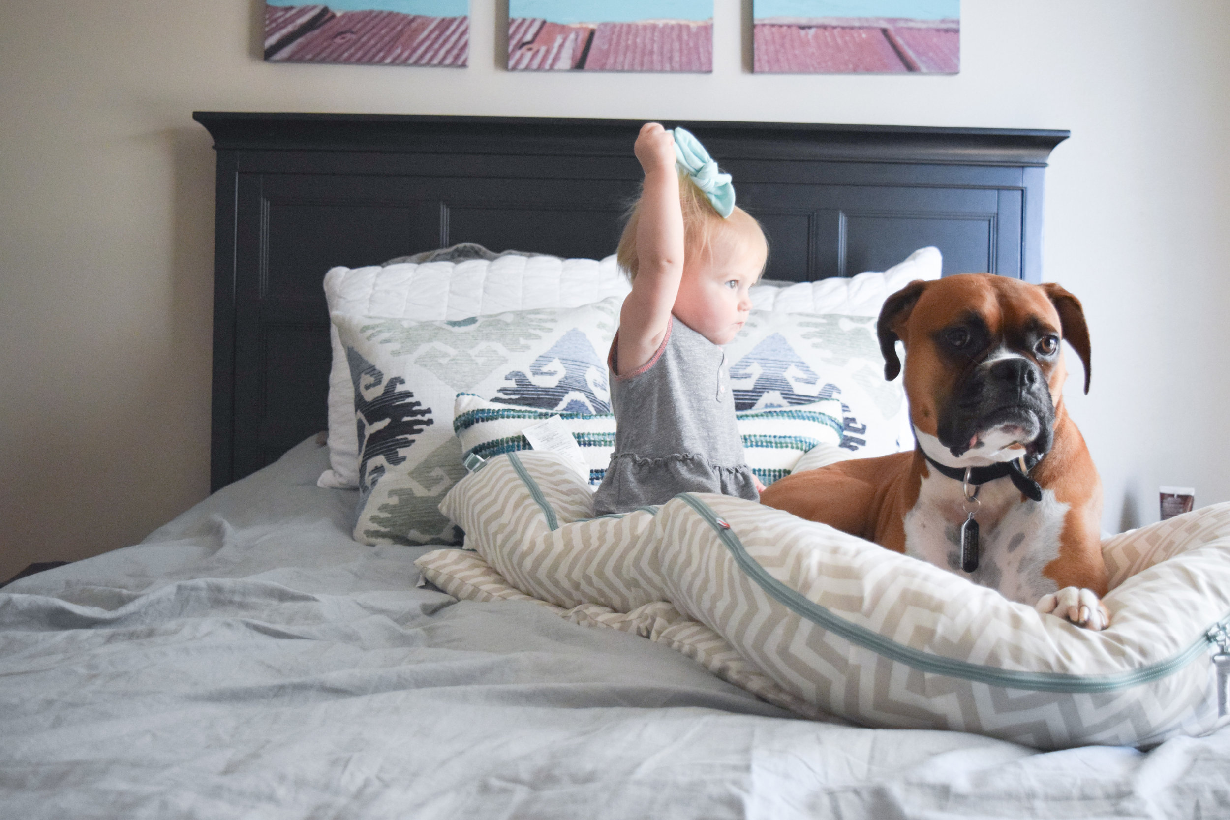 DockATot GIVEAWAY with The Overwhelmed Mommy - DockATot Grand Silver Lining