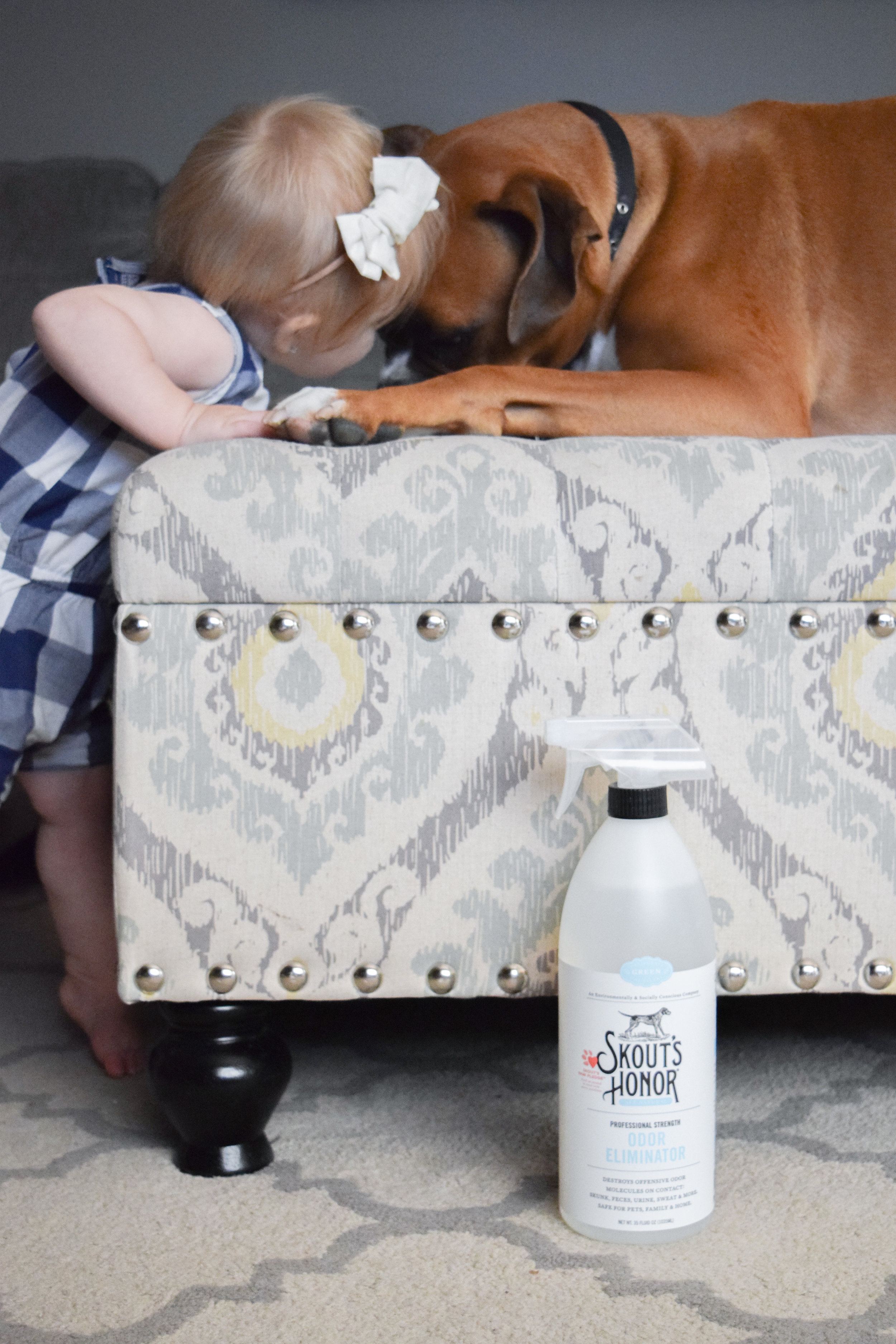 Skout's Honor - All Natural Pet Stain + Pet Odor Removal