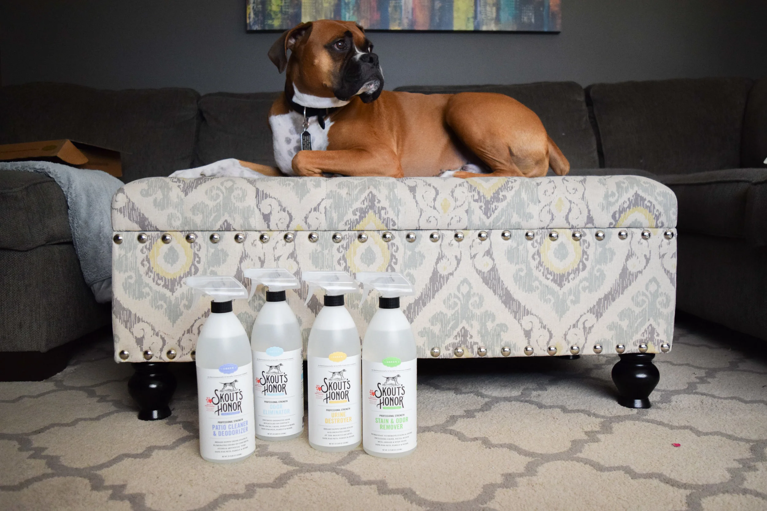 Skout's Honor - All Natural Pet Stain + Pet Odor Removal