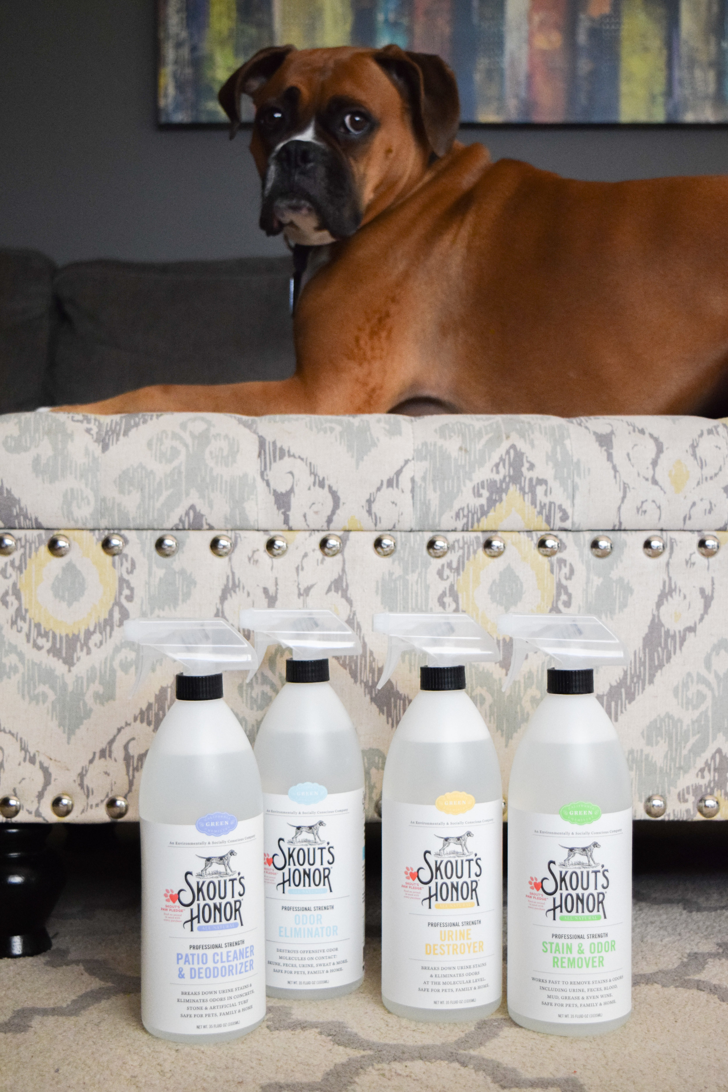 Skout's Honor - All Natural Pet Stain + Pet Odor Removal