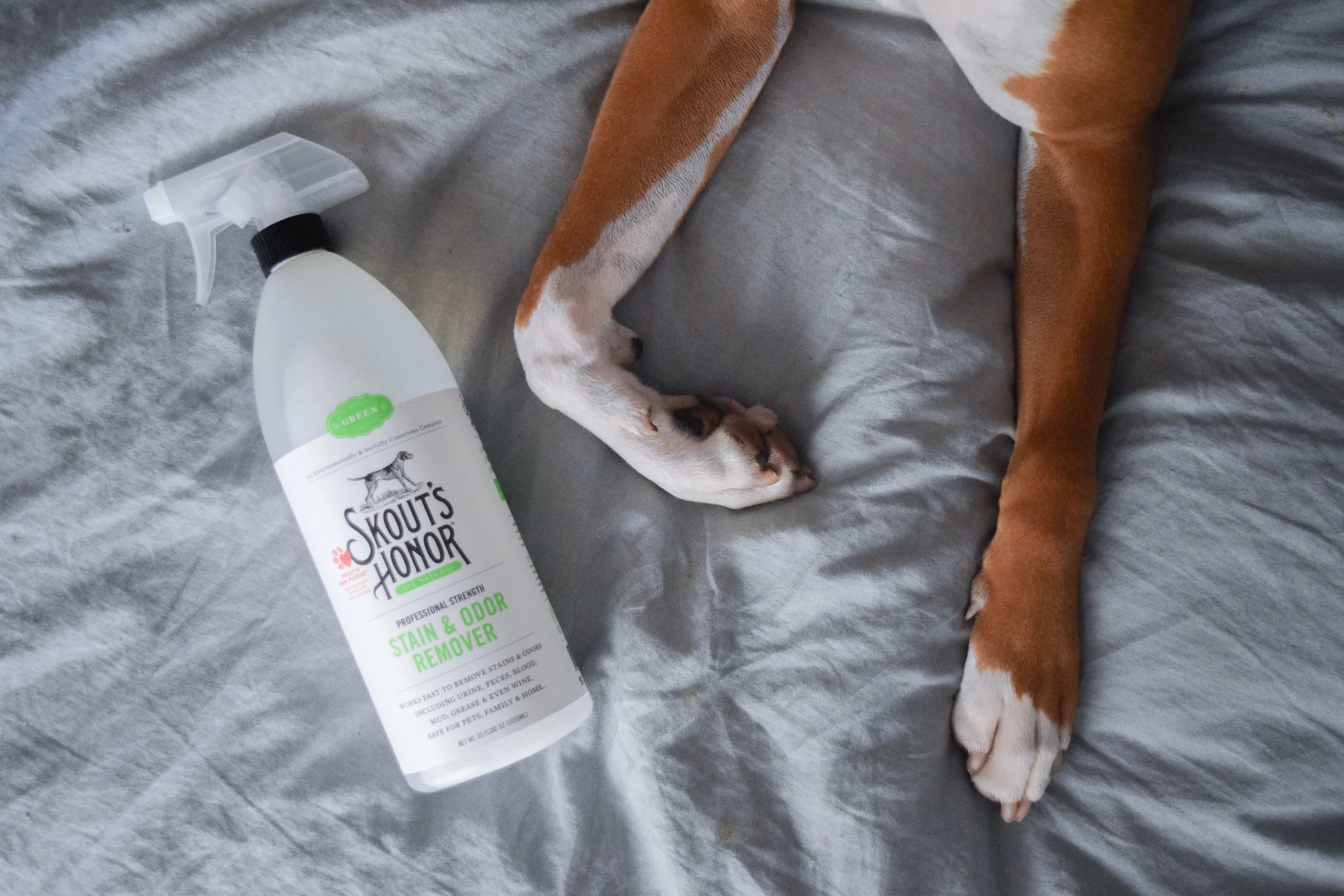 Skout's Honor - All Natural Pet Stain + Pet Odor Removal