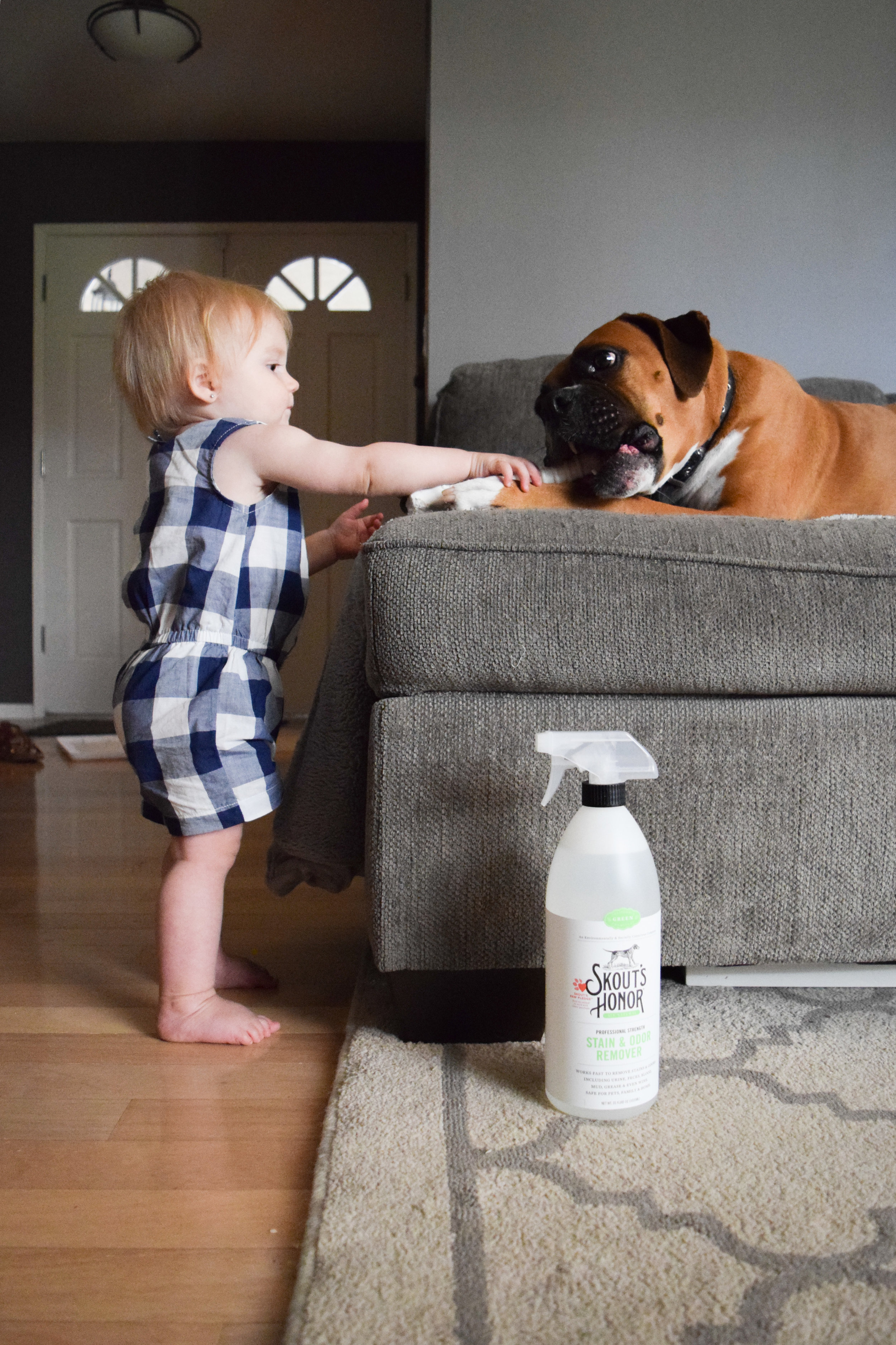 Skout's Honor - All Natural Pet Stain + Pet Odor Removal